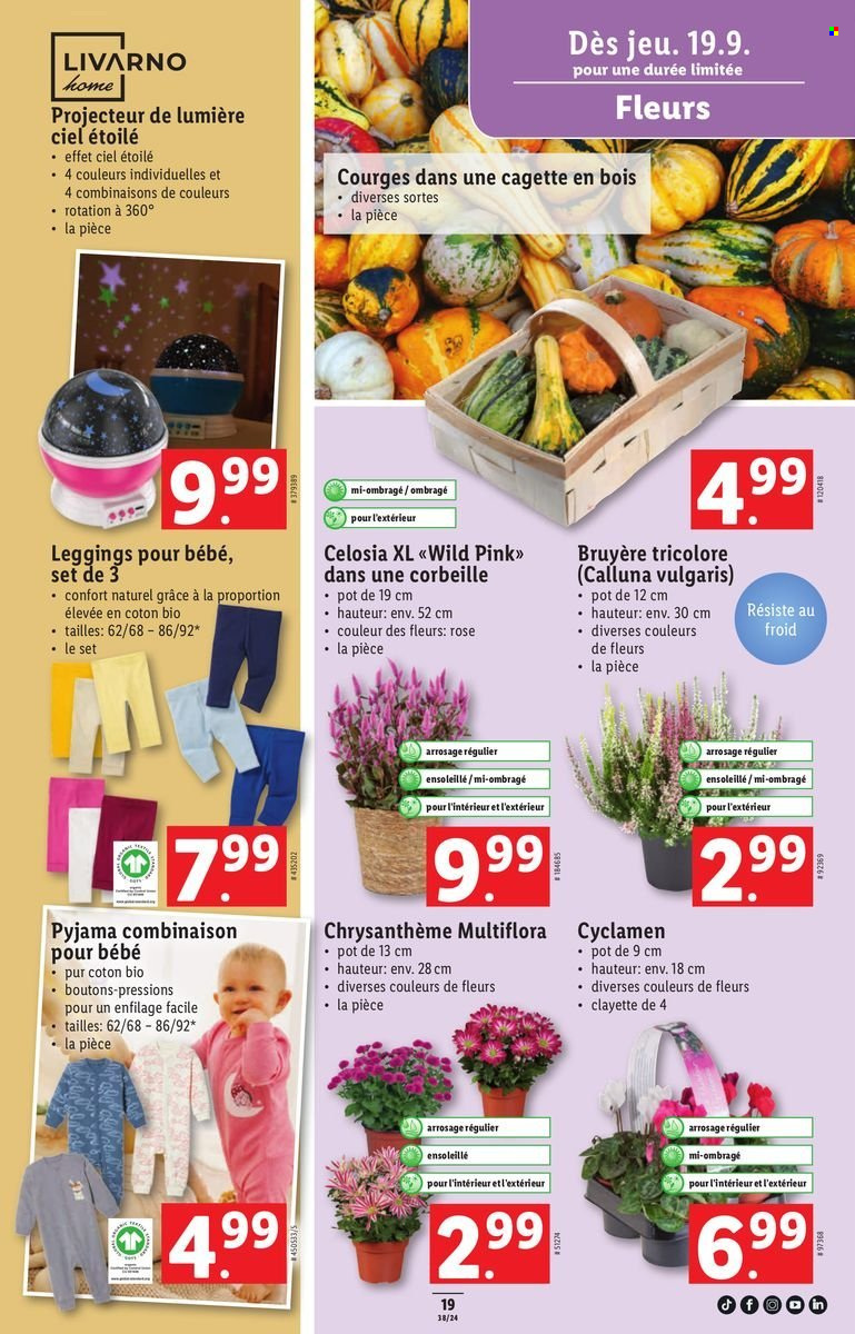 Volantino Lidl - 19.9.2024 - 25.9.2024. Pagina 19.