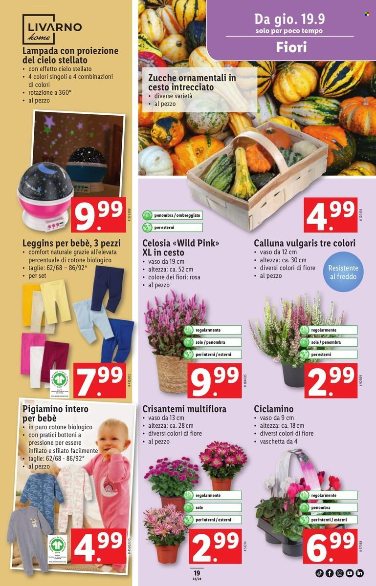 Volantino Lidl - 19.9.2024 - 25.9.2024. Pagina 19.