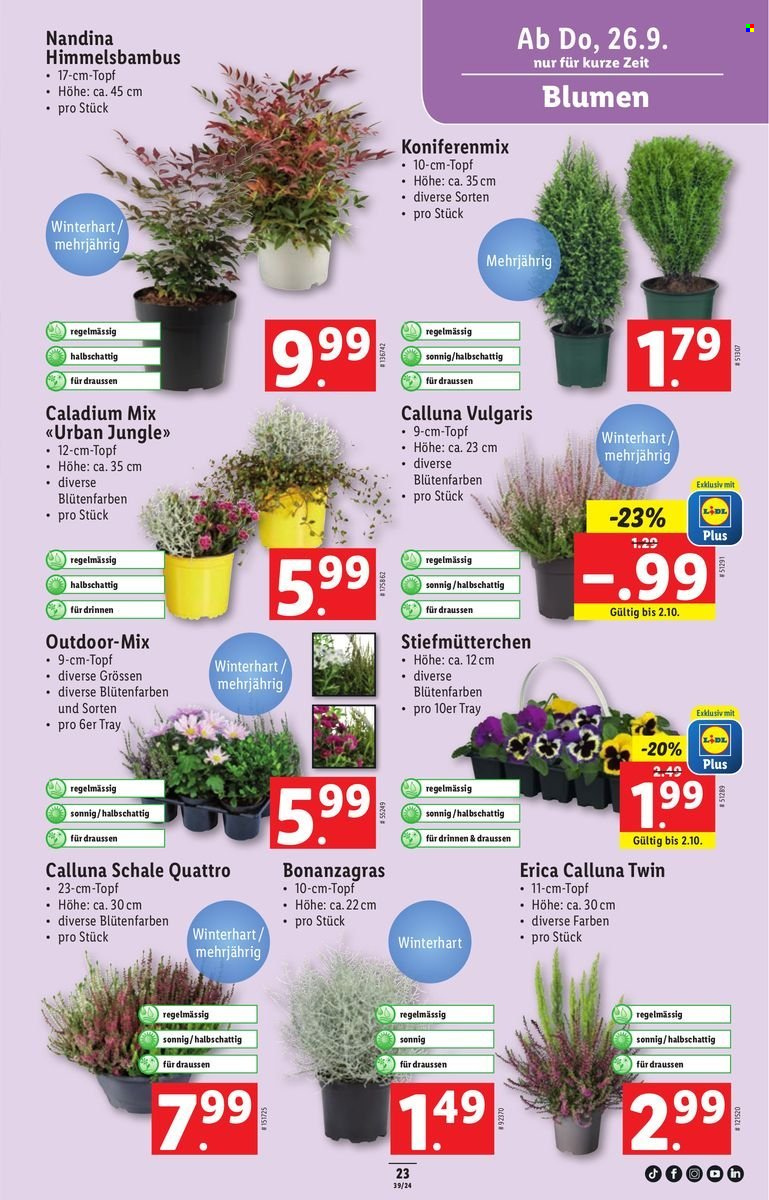 Volantino Lidl - 26.9.2024 - 2.10.2024. Pagina 23.