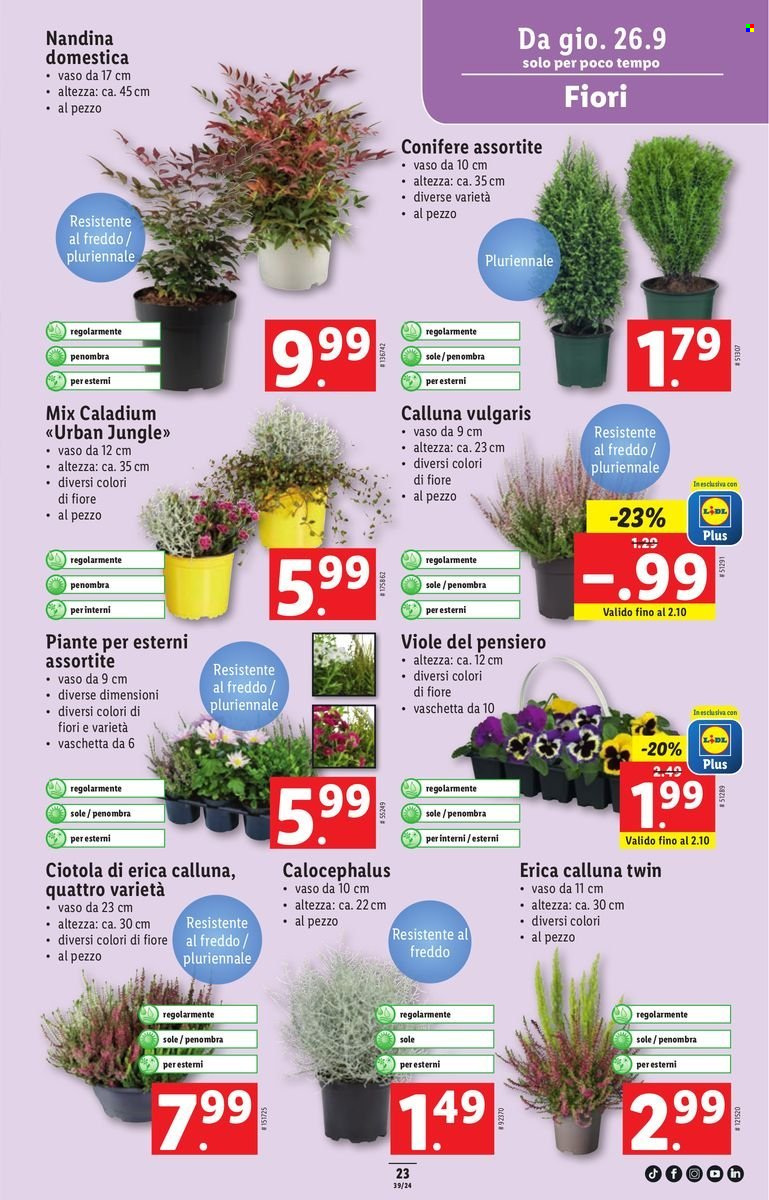 Volantino Lidl - 26.9.2024 - 2.10.2024. Pagina 23.