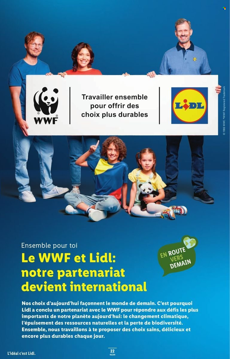 Volantino Lidl - 24.10.2024 - 30.10.2024. Pagina 24.