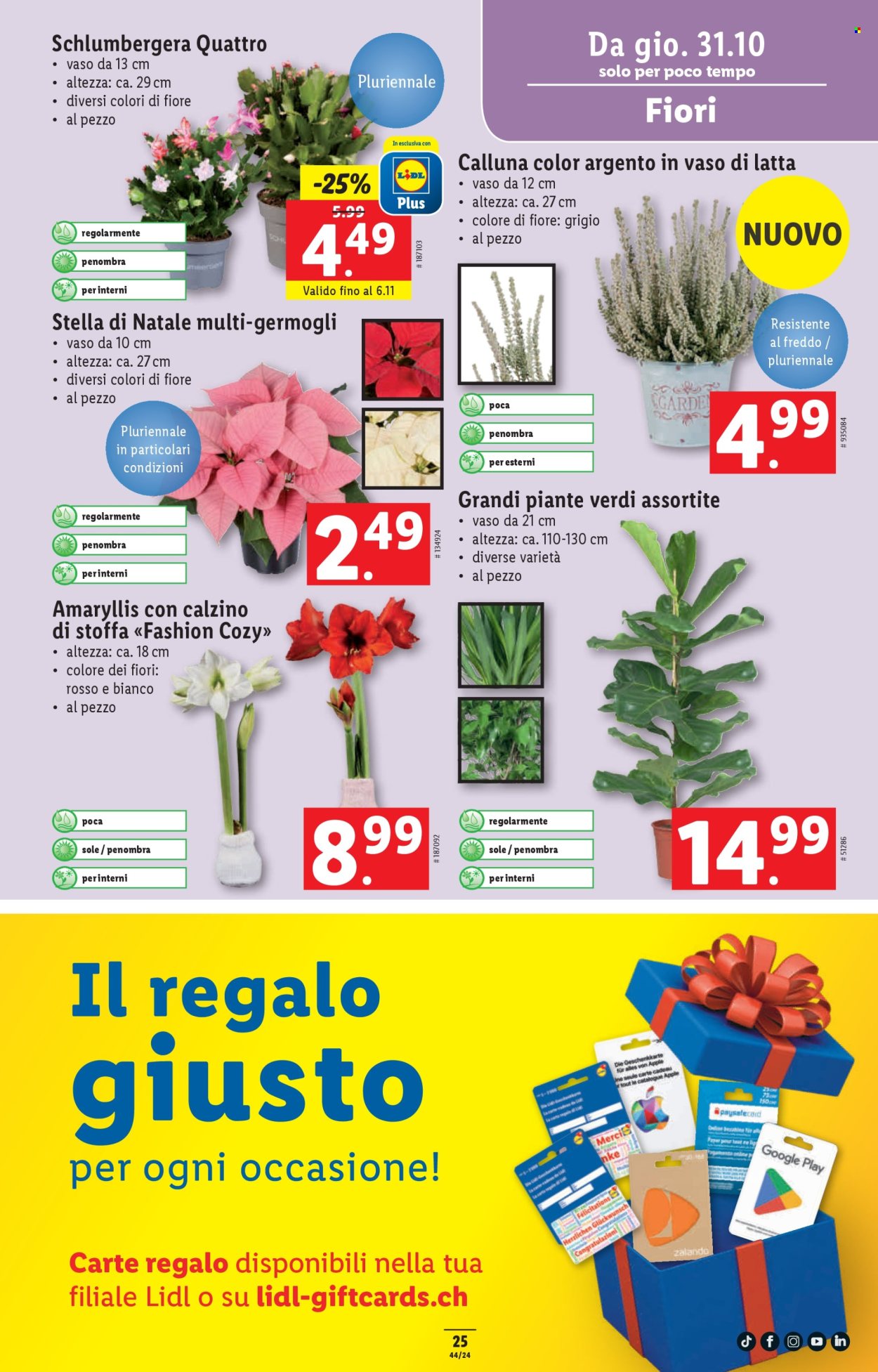 Volantino Lidl - 31.10.2024 - 6.11.2024. Pagina 25.