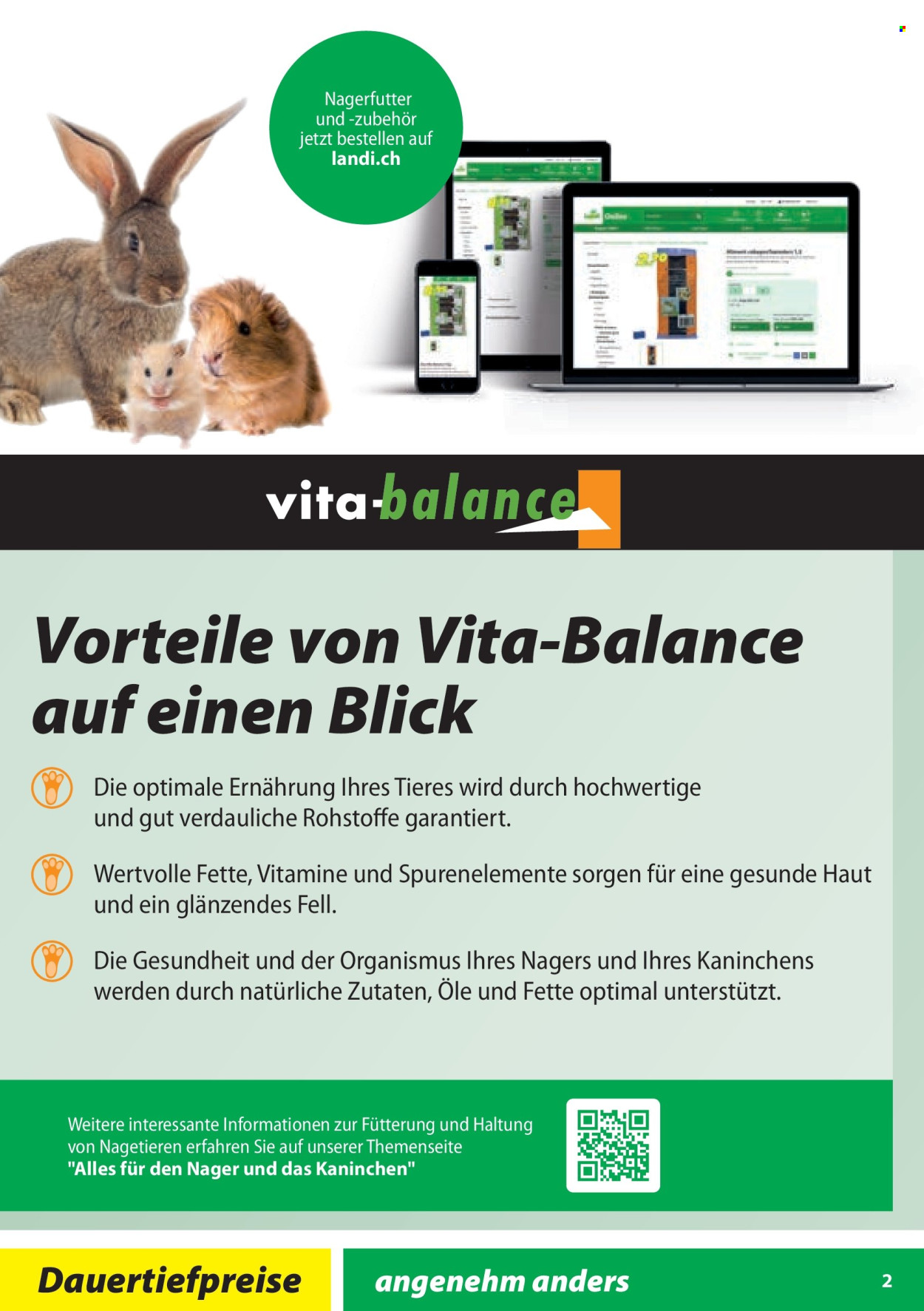 Volantino Landi. Pagina 2.
