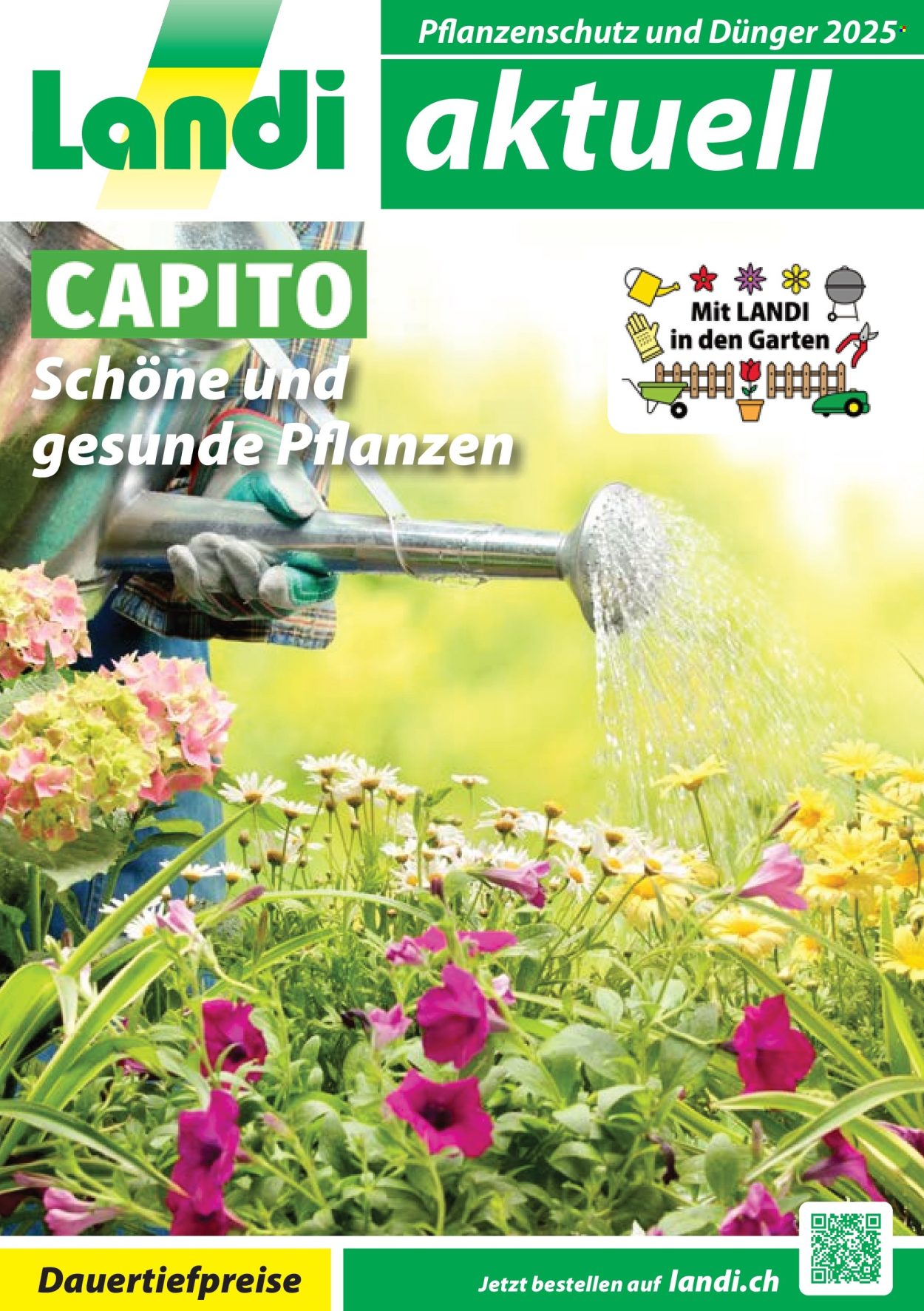 Volantino Landi - 5.2.2025 - 31.10.2025. Pagina 1.
