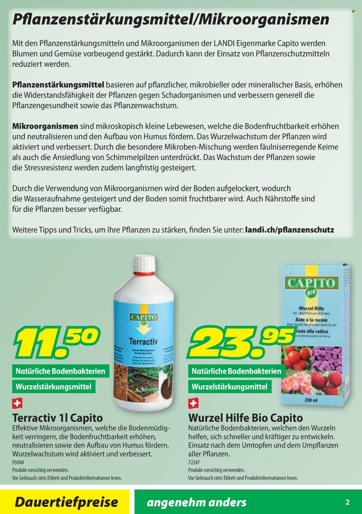 Volantino Landi - 5.2.2025 - 31.10.2025. Pagina 2.