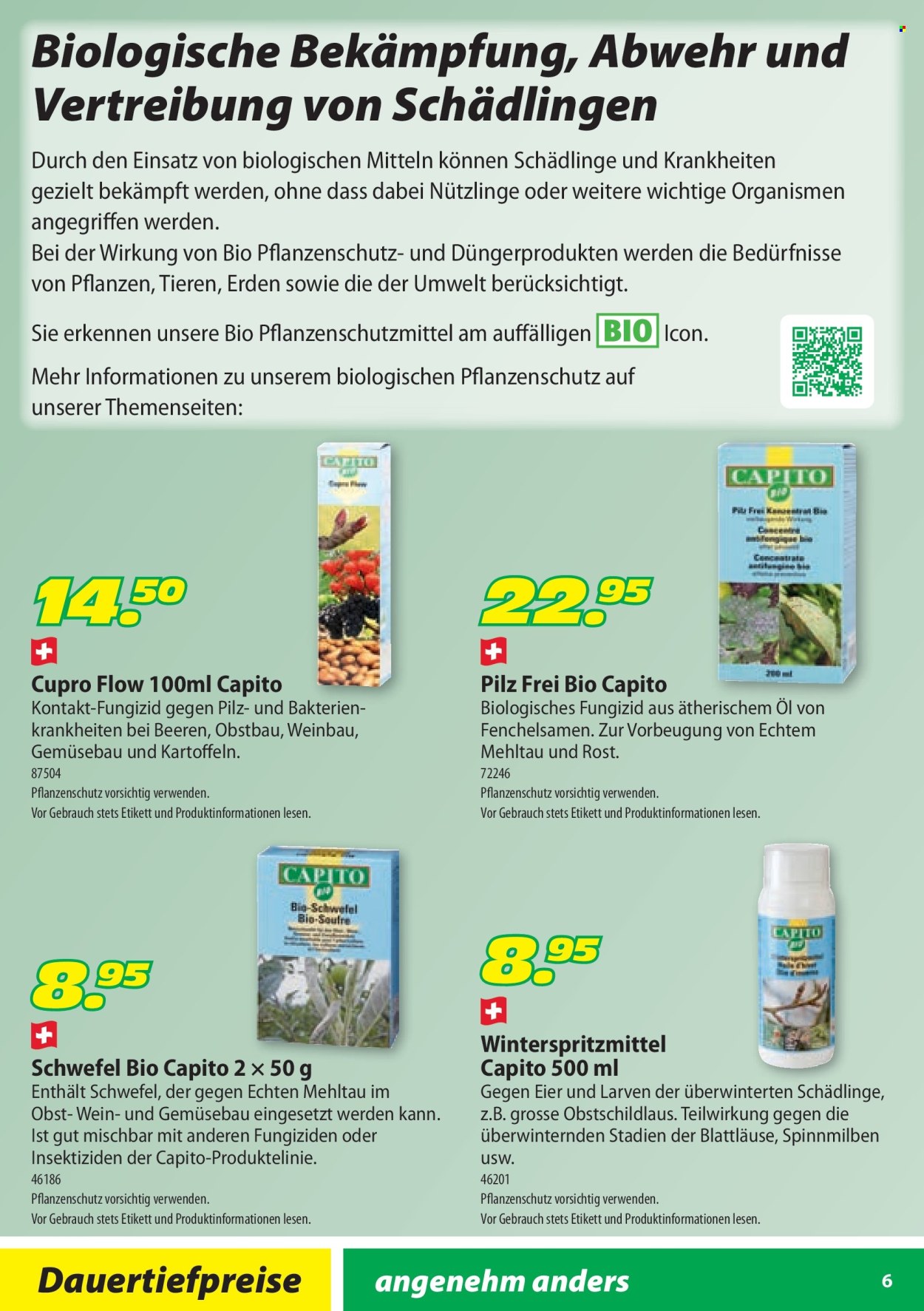 Volantino Landi - 5.2.2025 - 31.10.2025. Pagina 6.