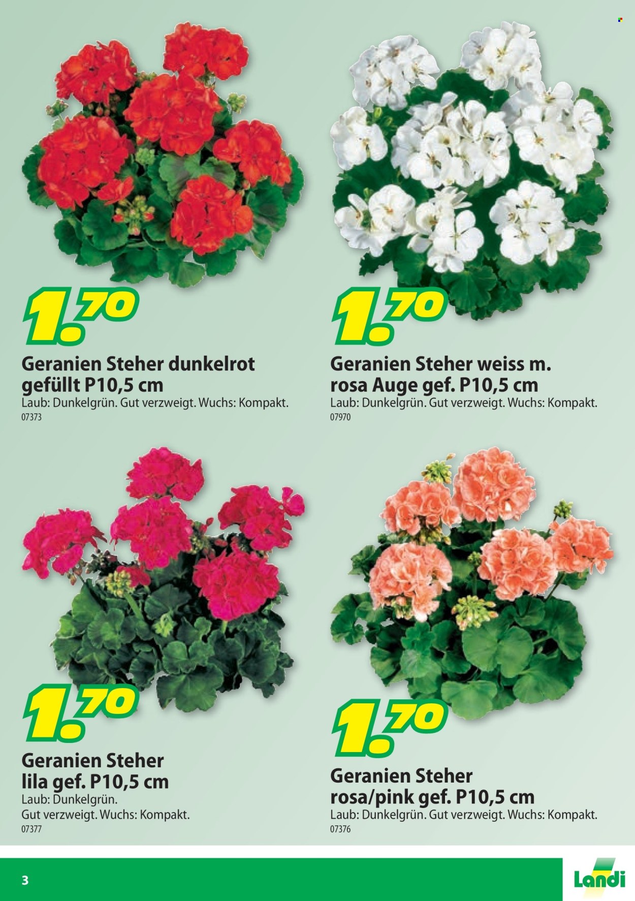Volantino Landi. Pagina 3.