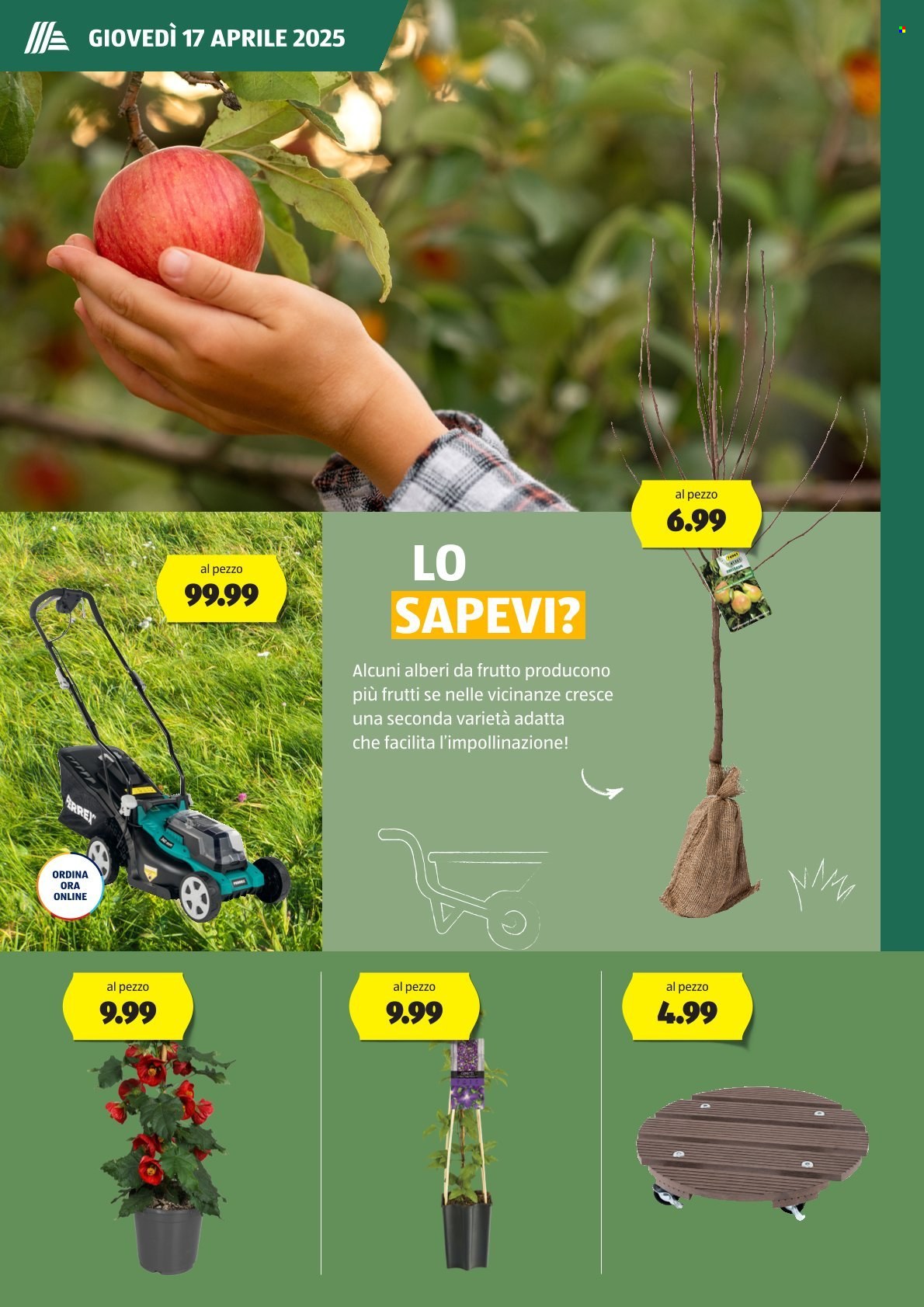 Volantino Aldi. Pagina 5.