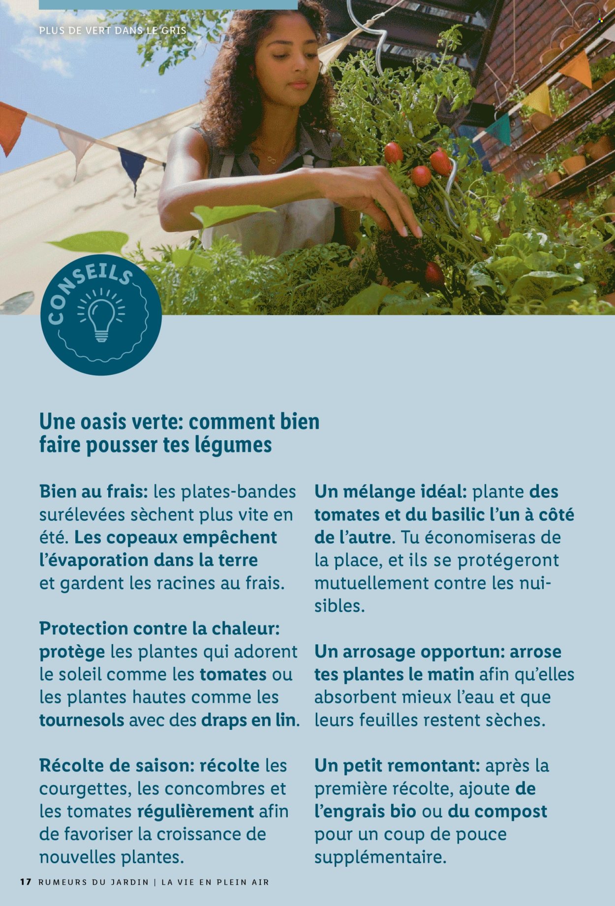 Volantino Lidl. Pagina 17.