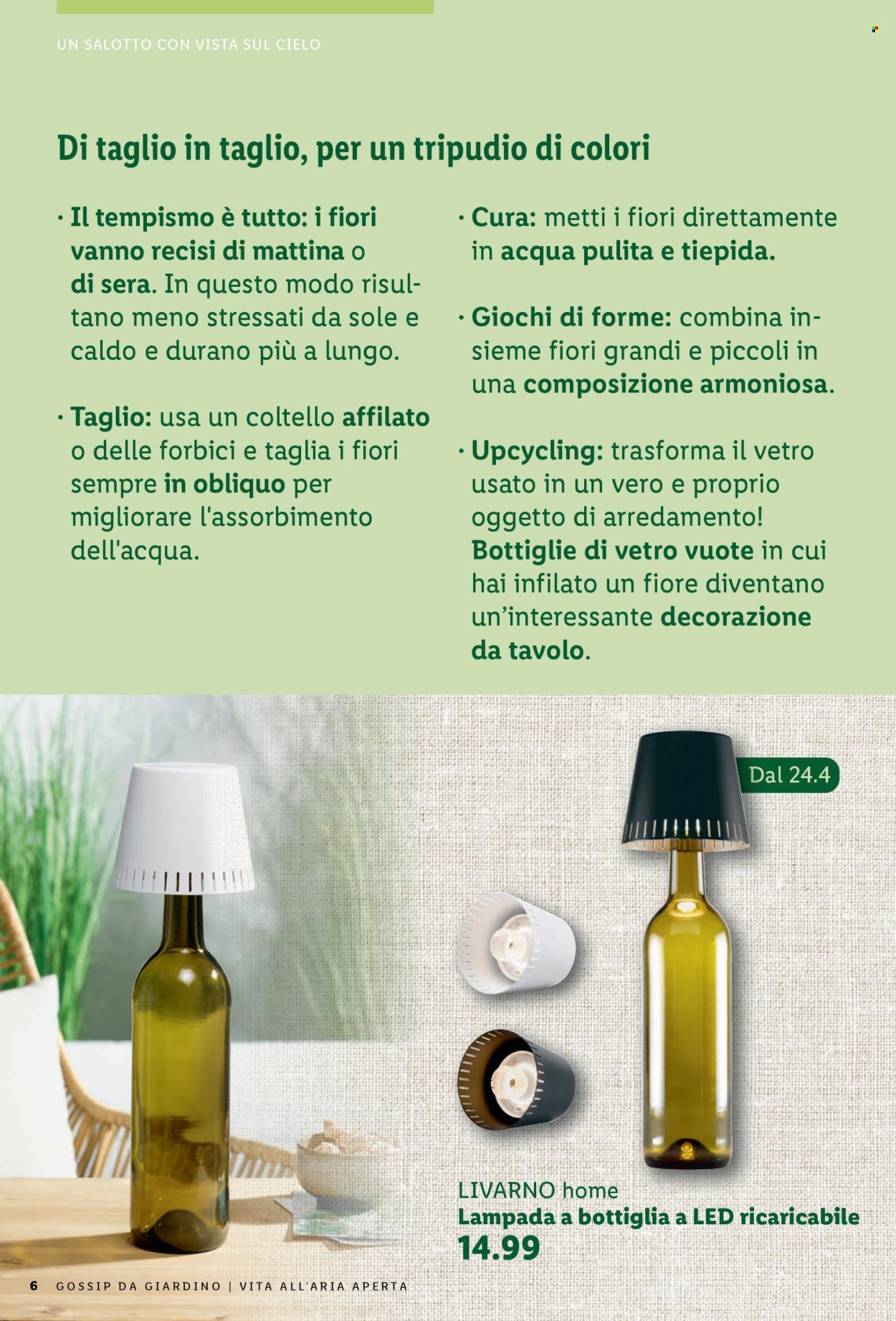 Volantino Lidl. Pagina 6.