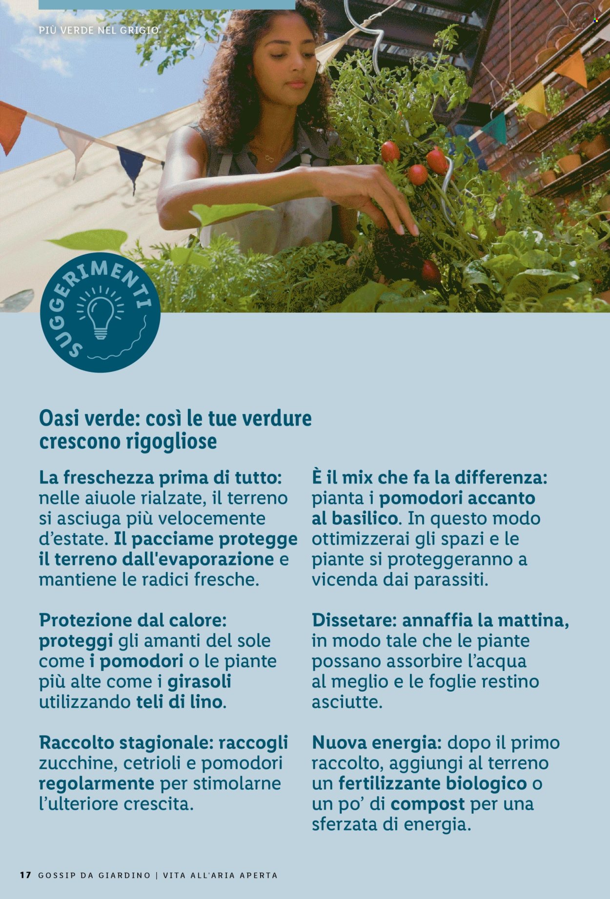 Volantino Lidl. Pagina 17.