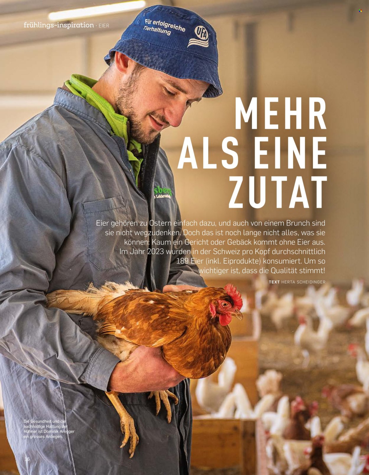 Volantino Aldi. Pagina 16.