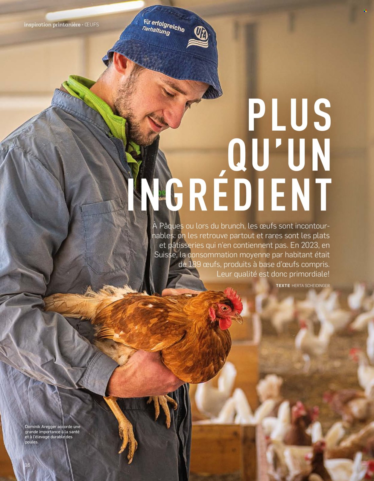 Volantino Aldi. Pagina 16.
