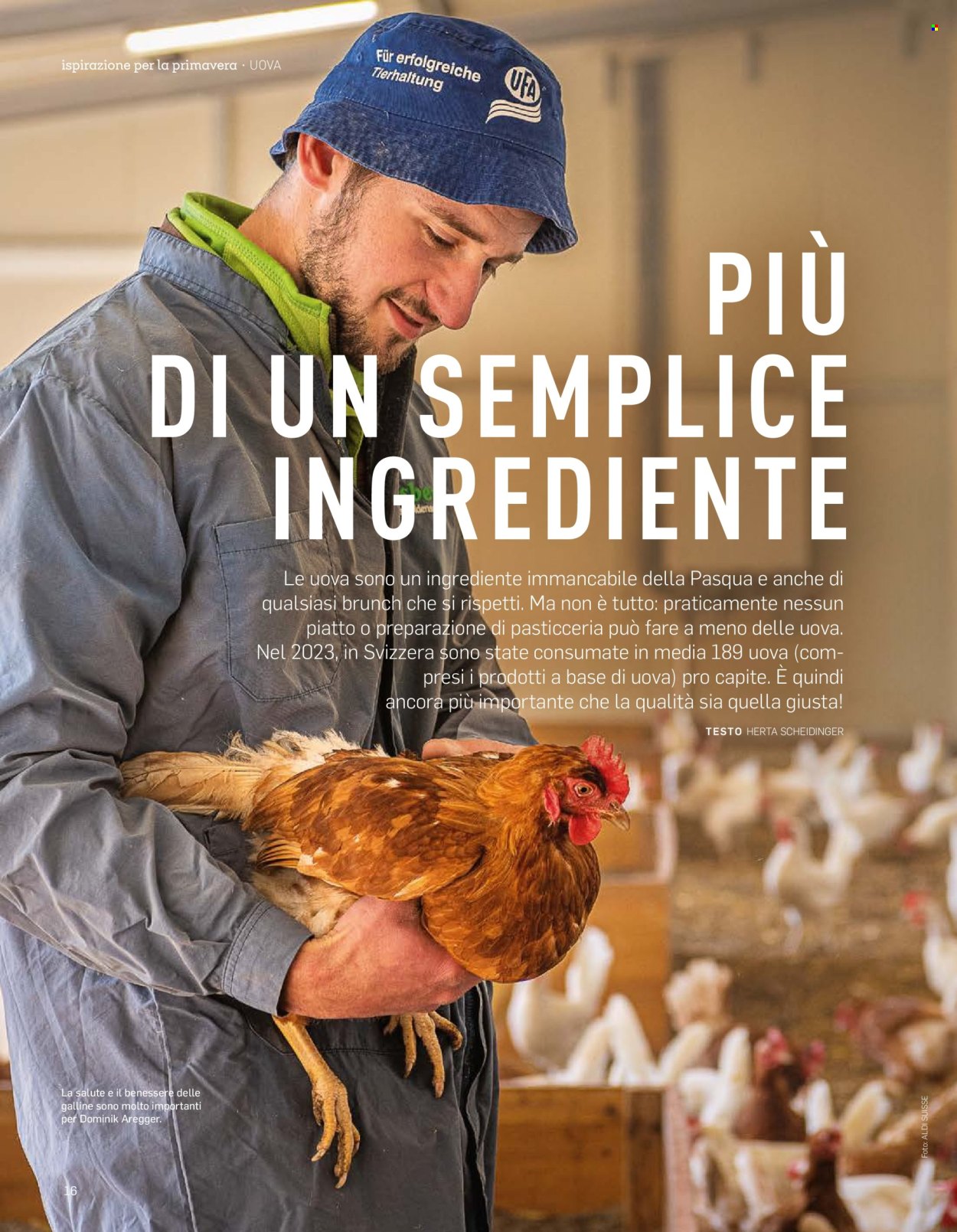 Volantino Aldi. Pagina 16.