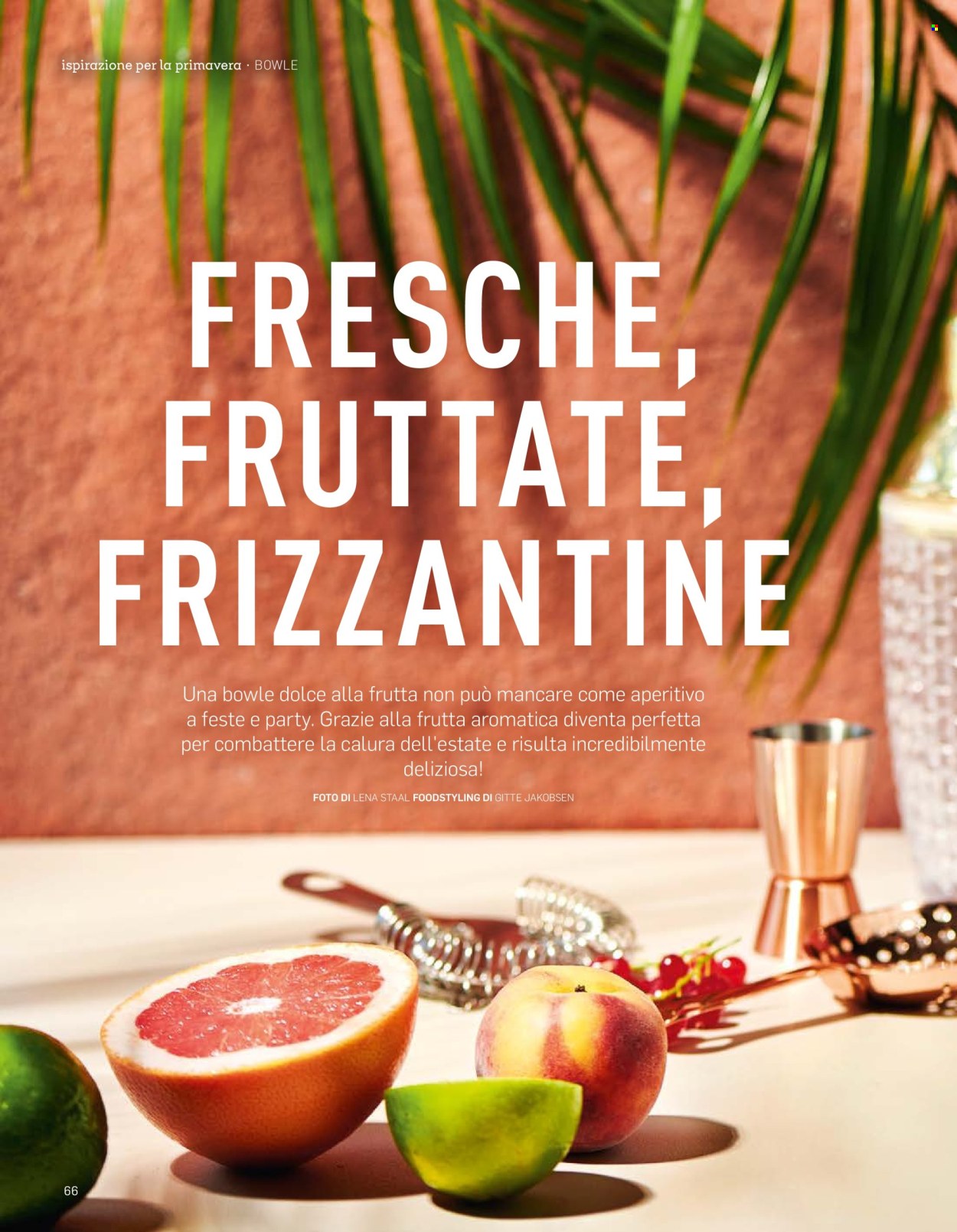 Volantino Aldi. Pagina 66.