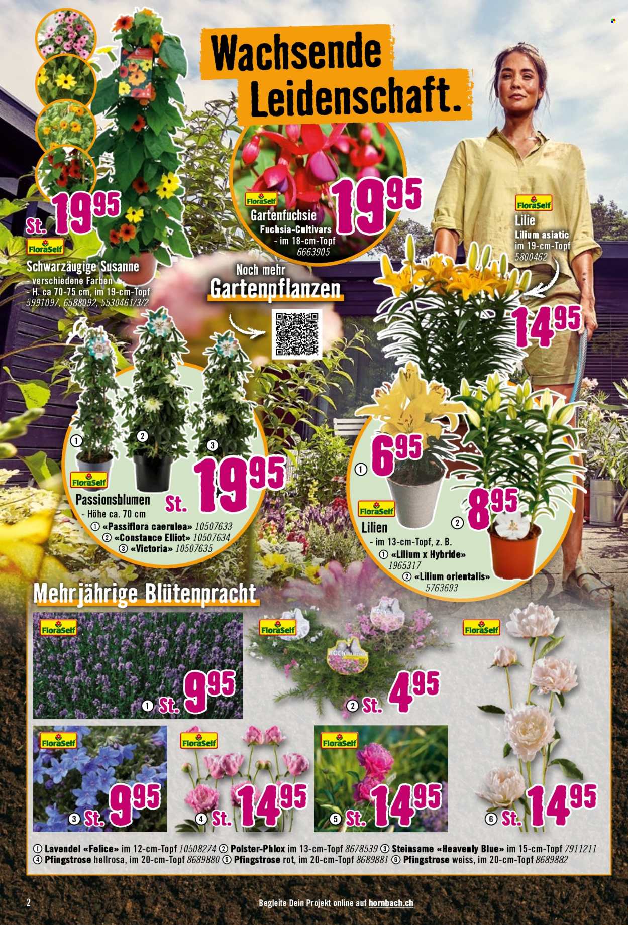Volantino Hornbach - 23.4.2025 - 20.5.2025. Pagina 2.