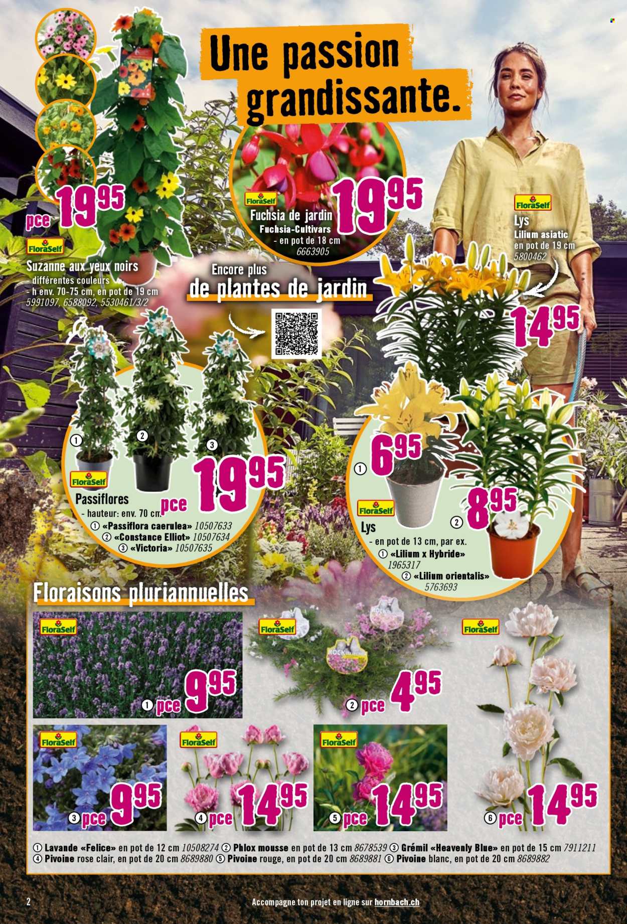 Volantino Hornbach - 23.4.2025 - 20.5.2025. Pagina 2.