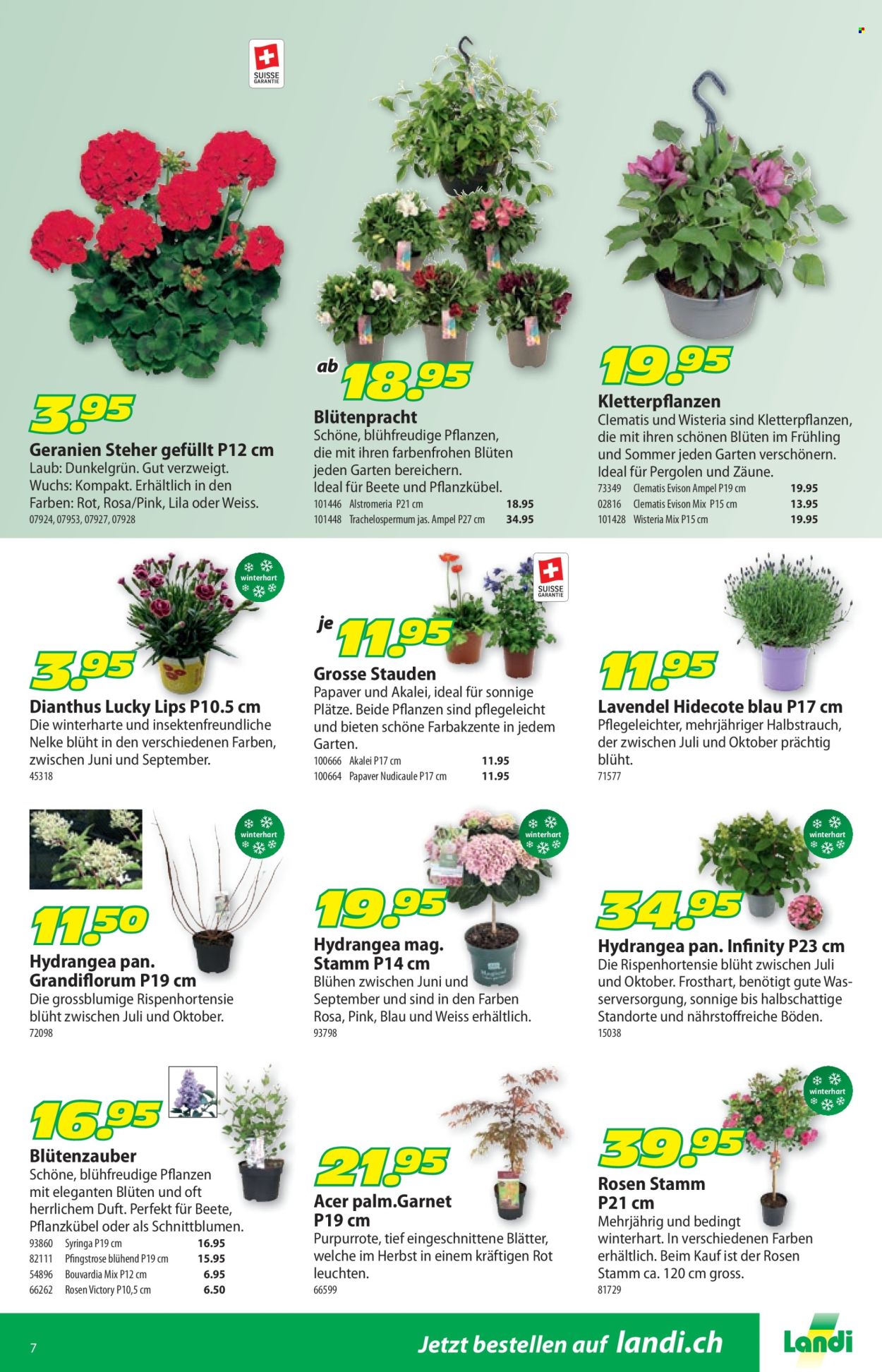 Volantino Landi - 28.4.2025 - 11.5.2025. Pagina 11.