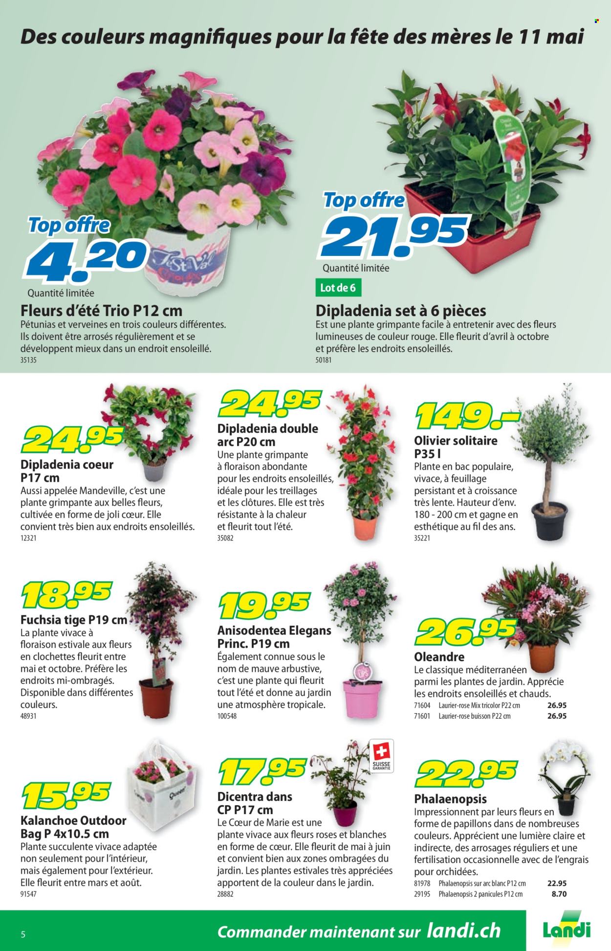Volantino Landi - 28.4.2025 - 11.5.2025. Pagina 9.