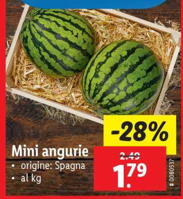 Mini angurie
