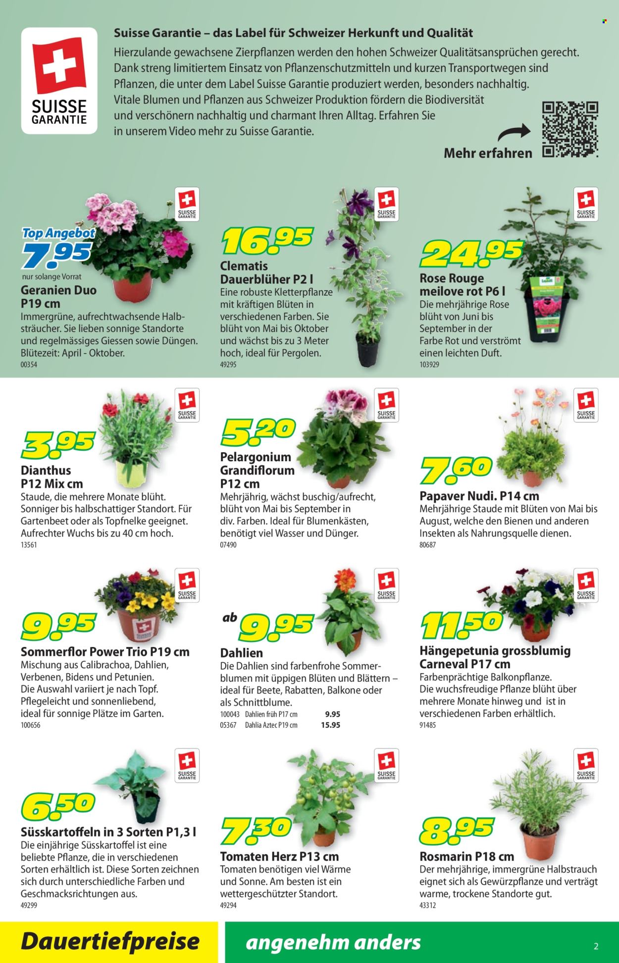 Volantino Landi - 12.5.2025 - 25.5.2025. Pagina 6.