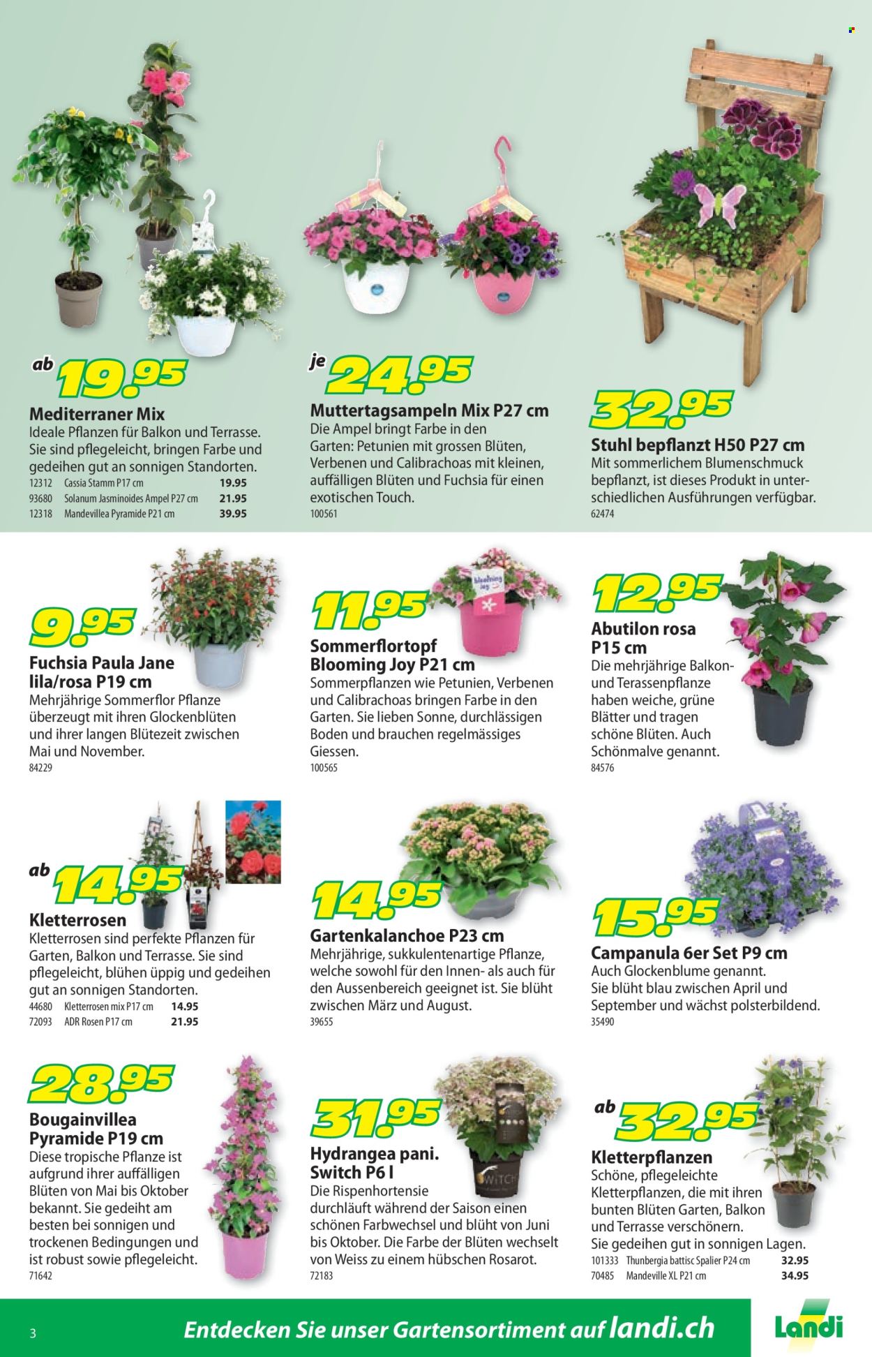 Volantino Landi - 12.5.2025 - 25.5.2025. Pagina 7.
