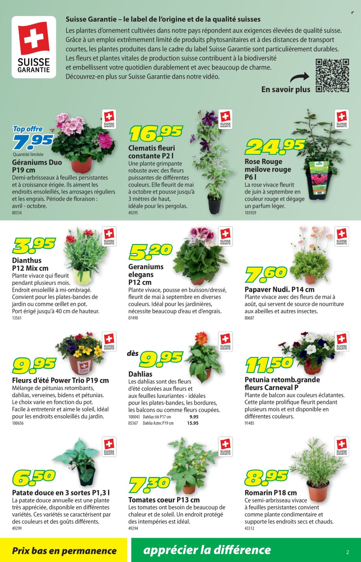 Volantino Landi - 12.5.2025 - 25.5.2025. Pagina 6.