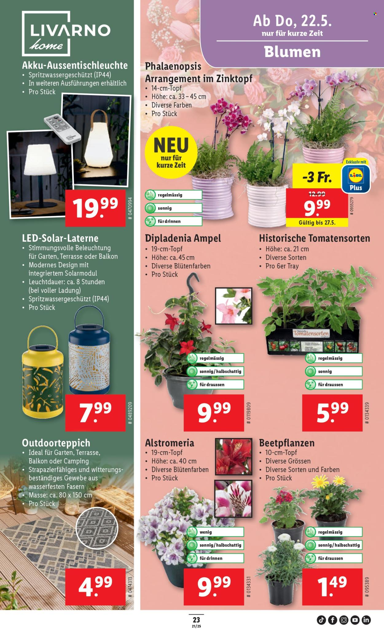 Volantino Lidl - 22.5.2025 - 27.5.2025. Pagina 27.