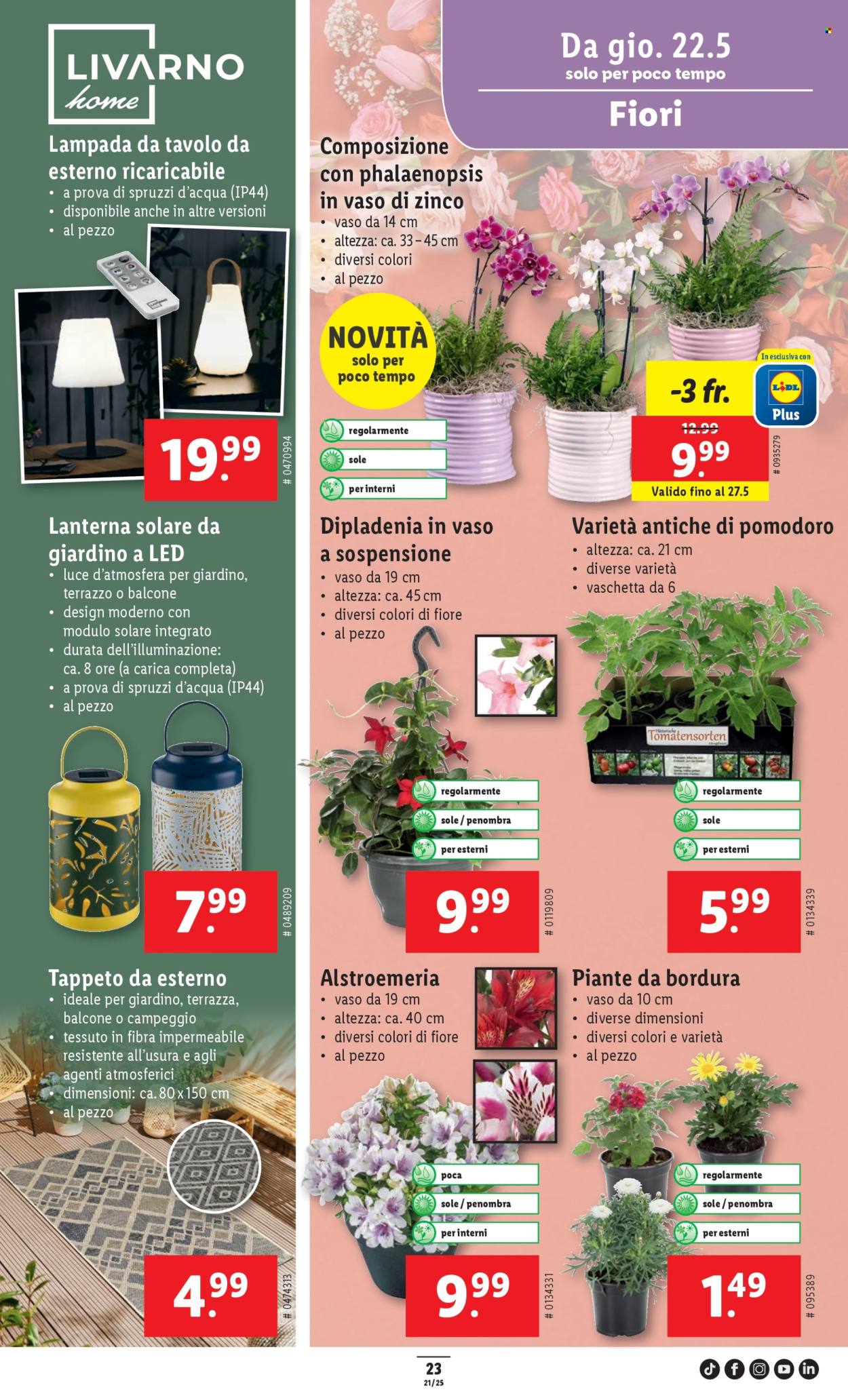 Volantino Lidl - 22.5.2025 - 27.5.2025. Pagina 27.