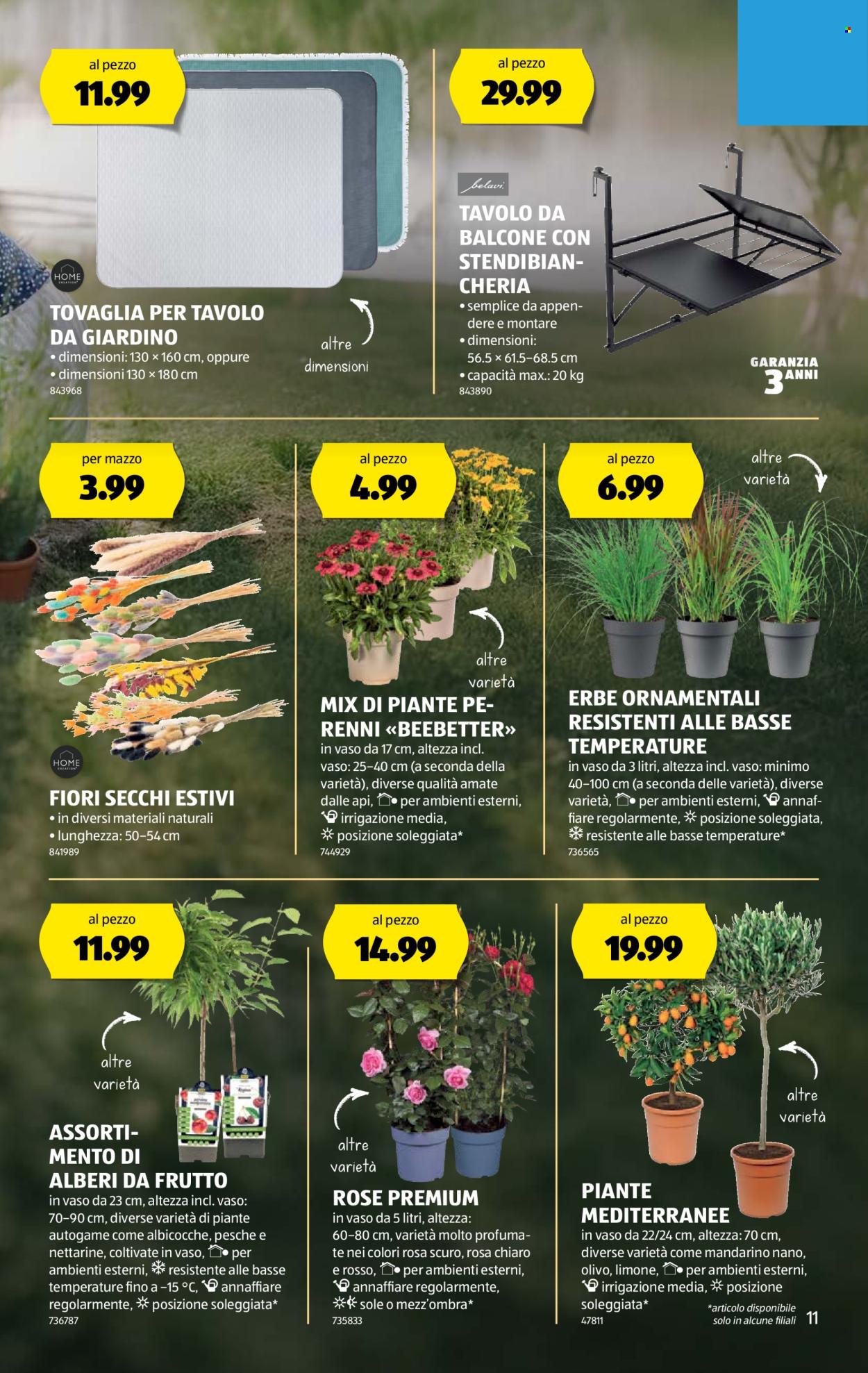 Volantino Aldi - 28.5.2025 - 4.6.2025. Pagina 11.