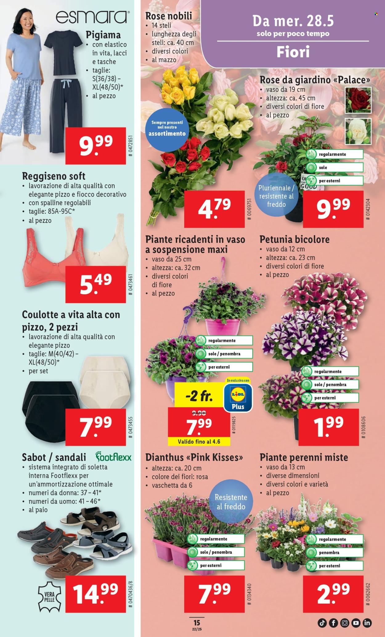 Volantino Lidl - 28.5.2025 - 4.6.2025. Pagina 15.