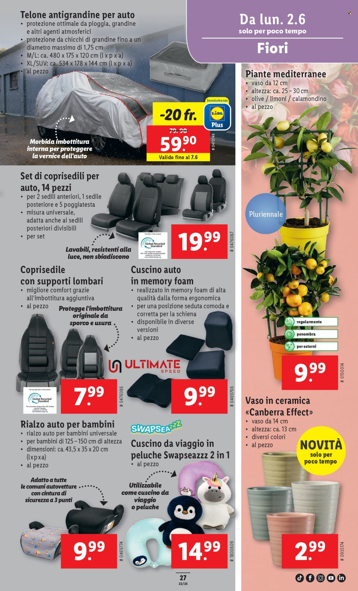 Volantino Lidl - 28.5.2025 - 4.6.2025. Pagina 31.