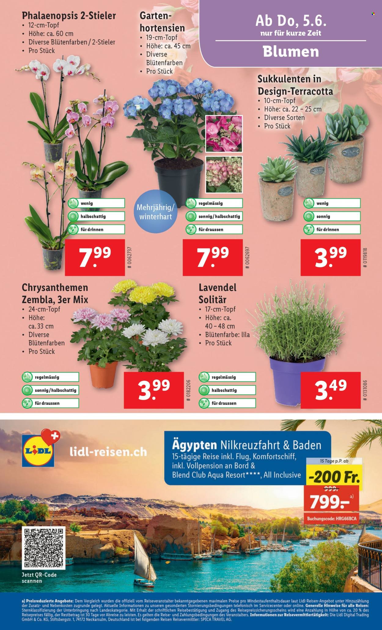 Volantino Lidl - 5.6.2025 - 11.6.2025. Pagina 27. Pagina 27