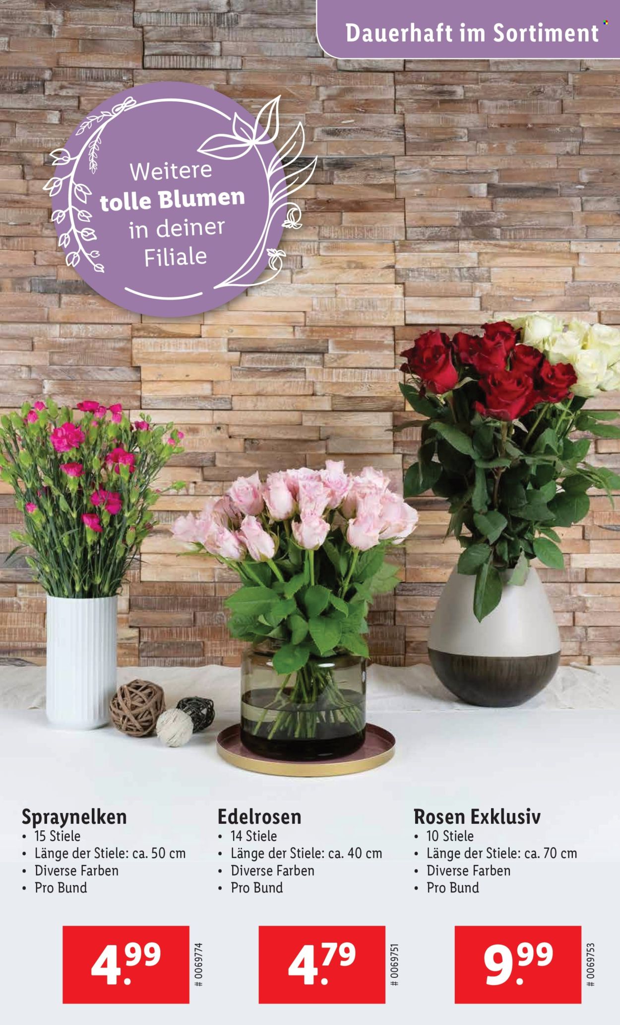 Volantino Lidl - 5.6.2025 - 11.6.2025. Pagina 29. Pagina 29