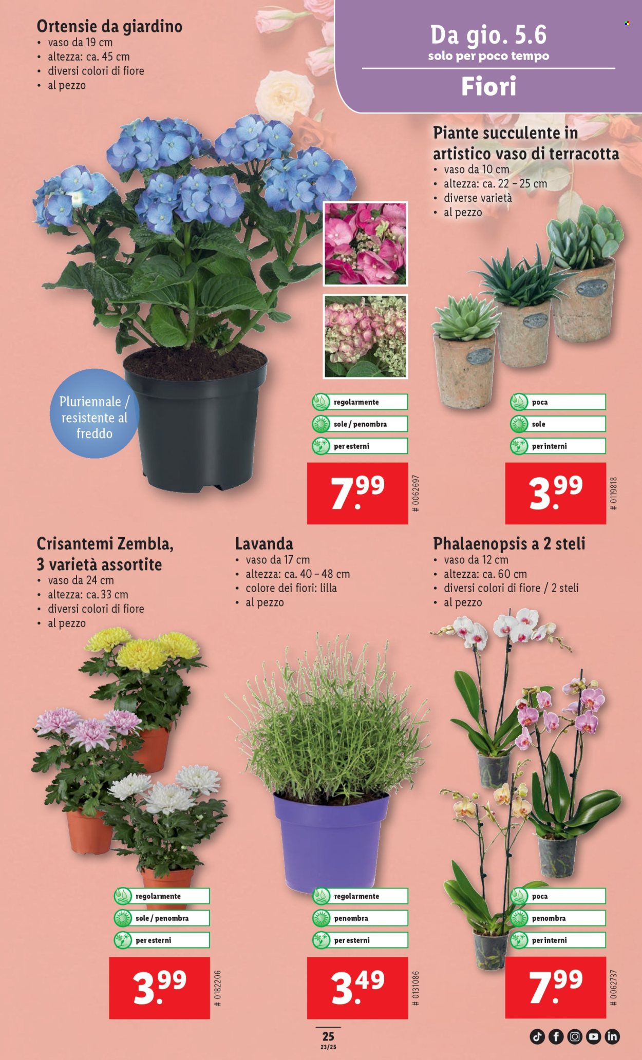 Volantino Lidl - 5.6.2025 - 11.6.2025. Pagina 27.