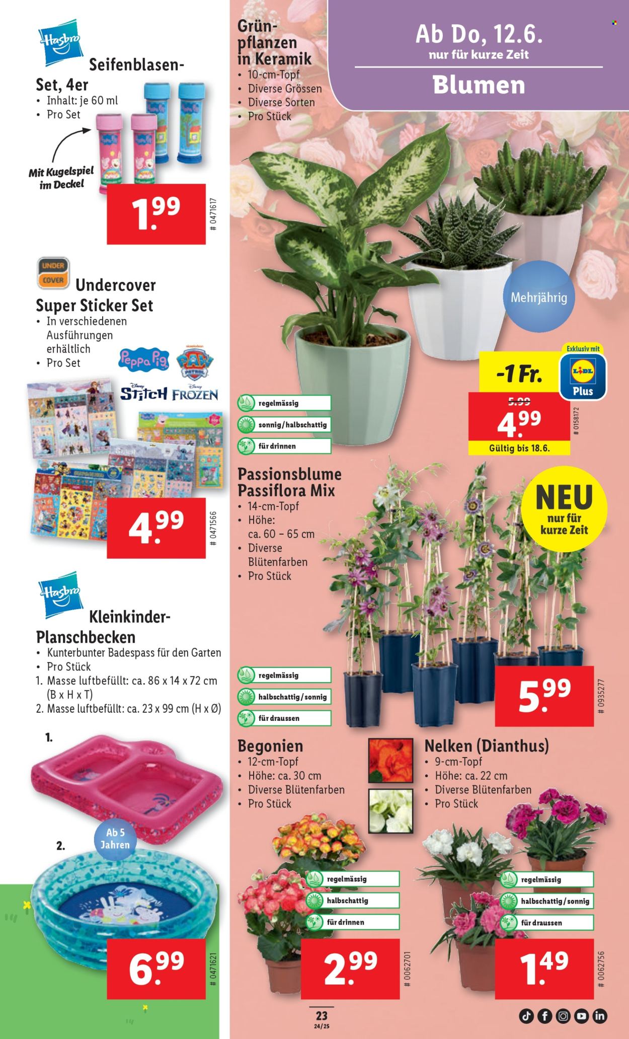Volantino Lidl - 12.6.2025 - 18.6.2025. Pagina 23. Pagina 23