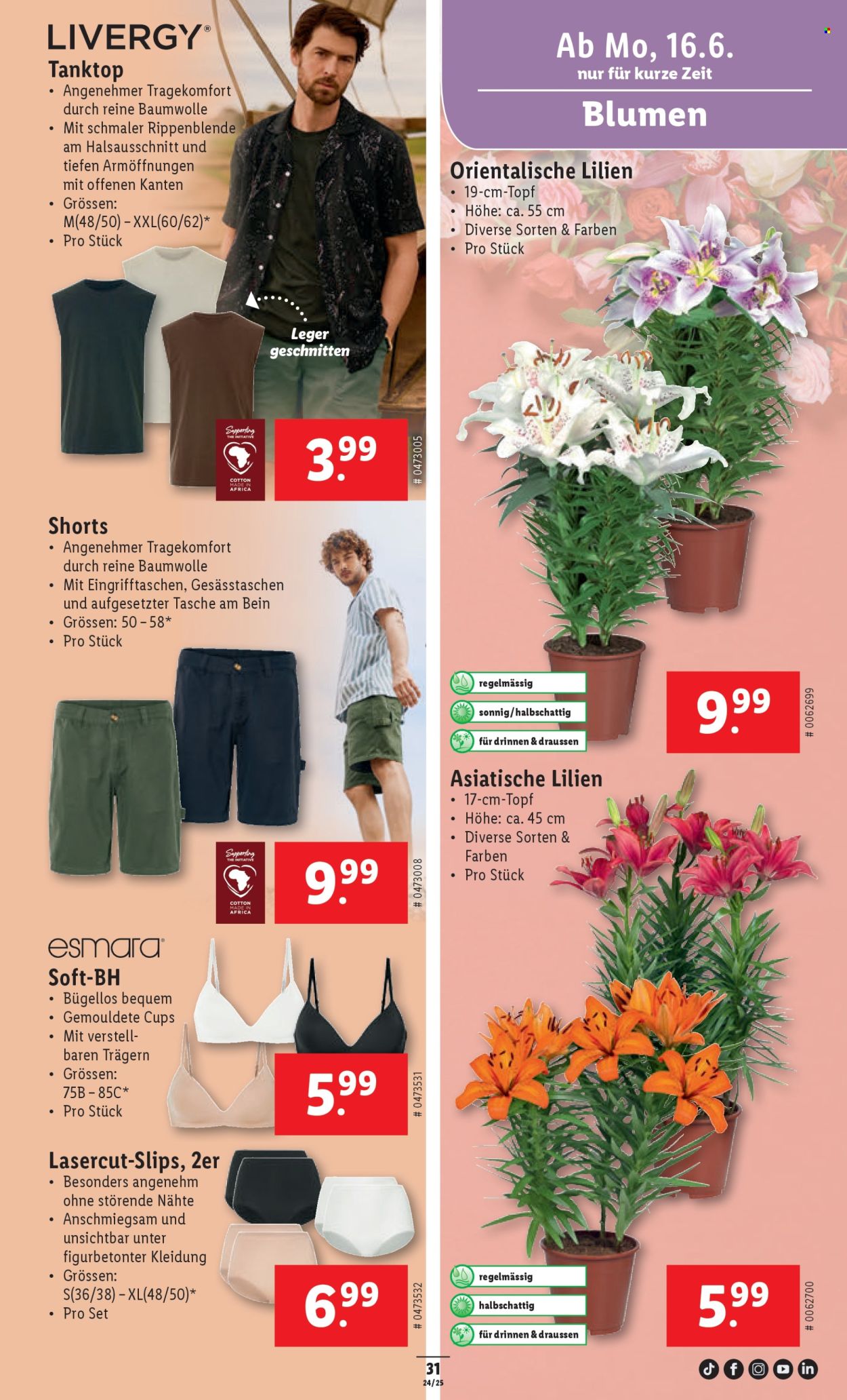 Volantino Lidl - 12.6.2025 - 18.6.2025. Pagina 31. Pagina 31
