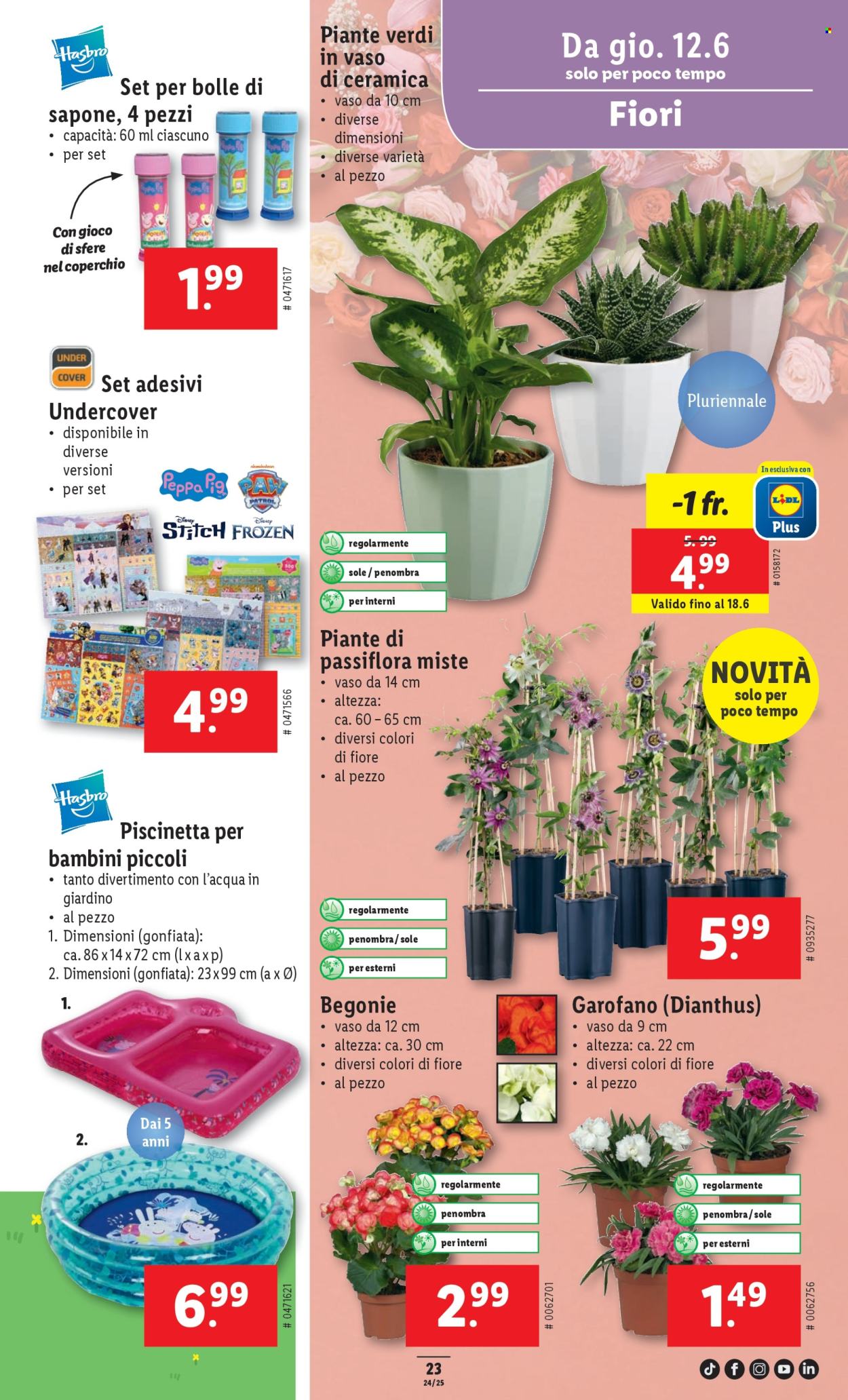 Volantino Lidl - 12.6.2025 - 18.6.2025. Pagina 23. Pagina 23