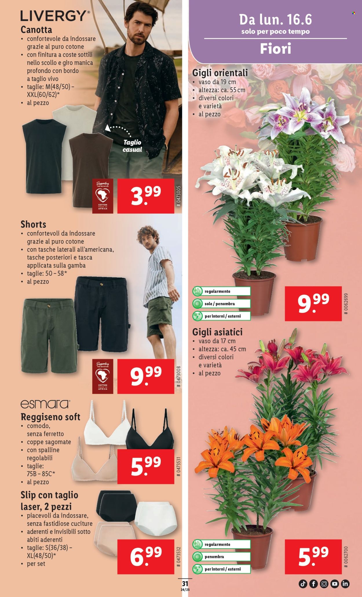 Volantino Lidl - 12.6.2025 - 18.6.2025. Pagina 31. Pagina 31