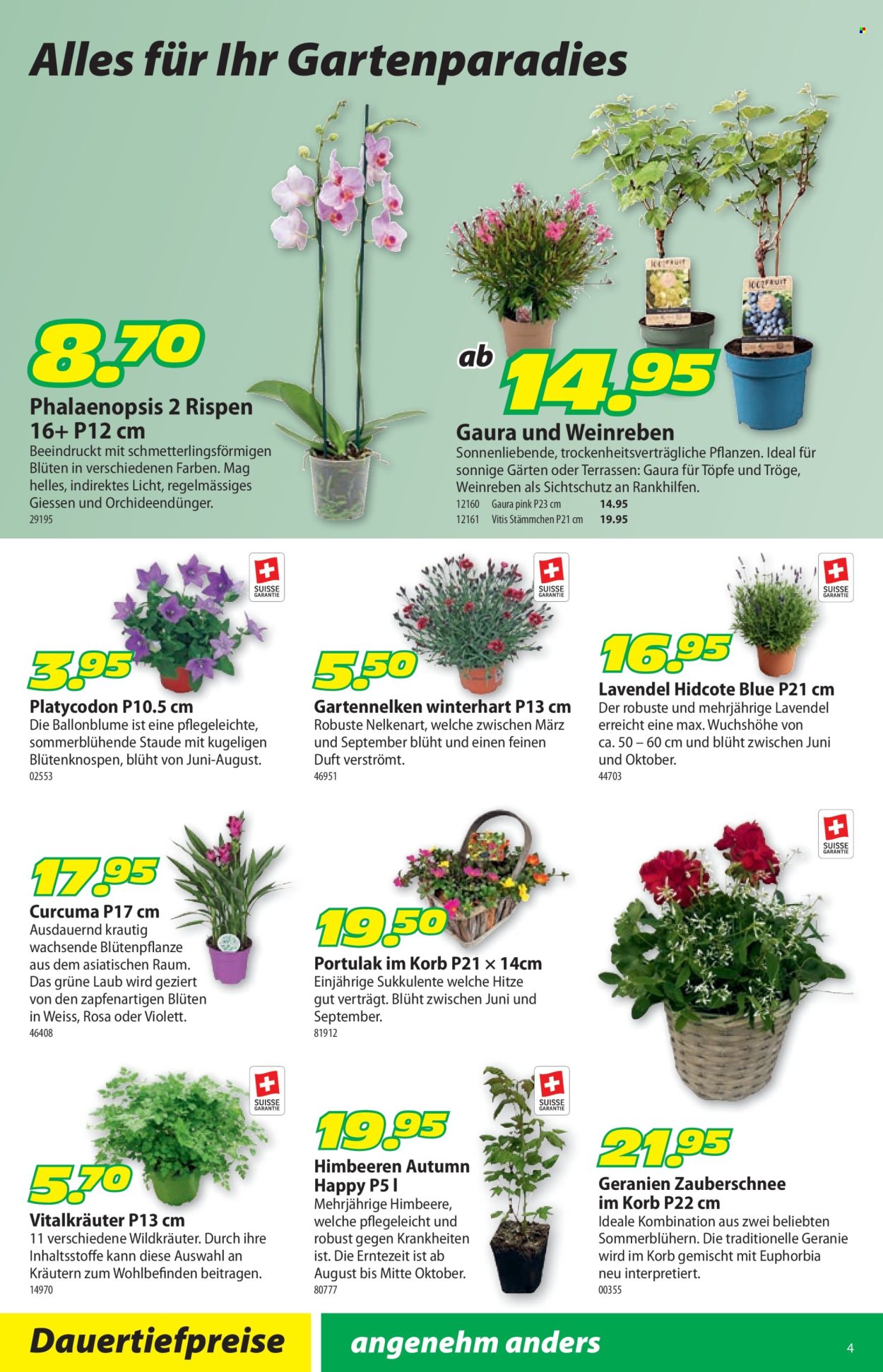 Volantino Landi - 23.6.2025 - 6.7.2025. Pagina 8. Pagina 8