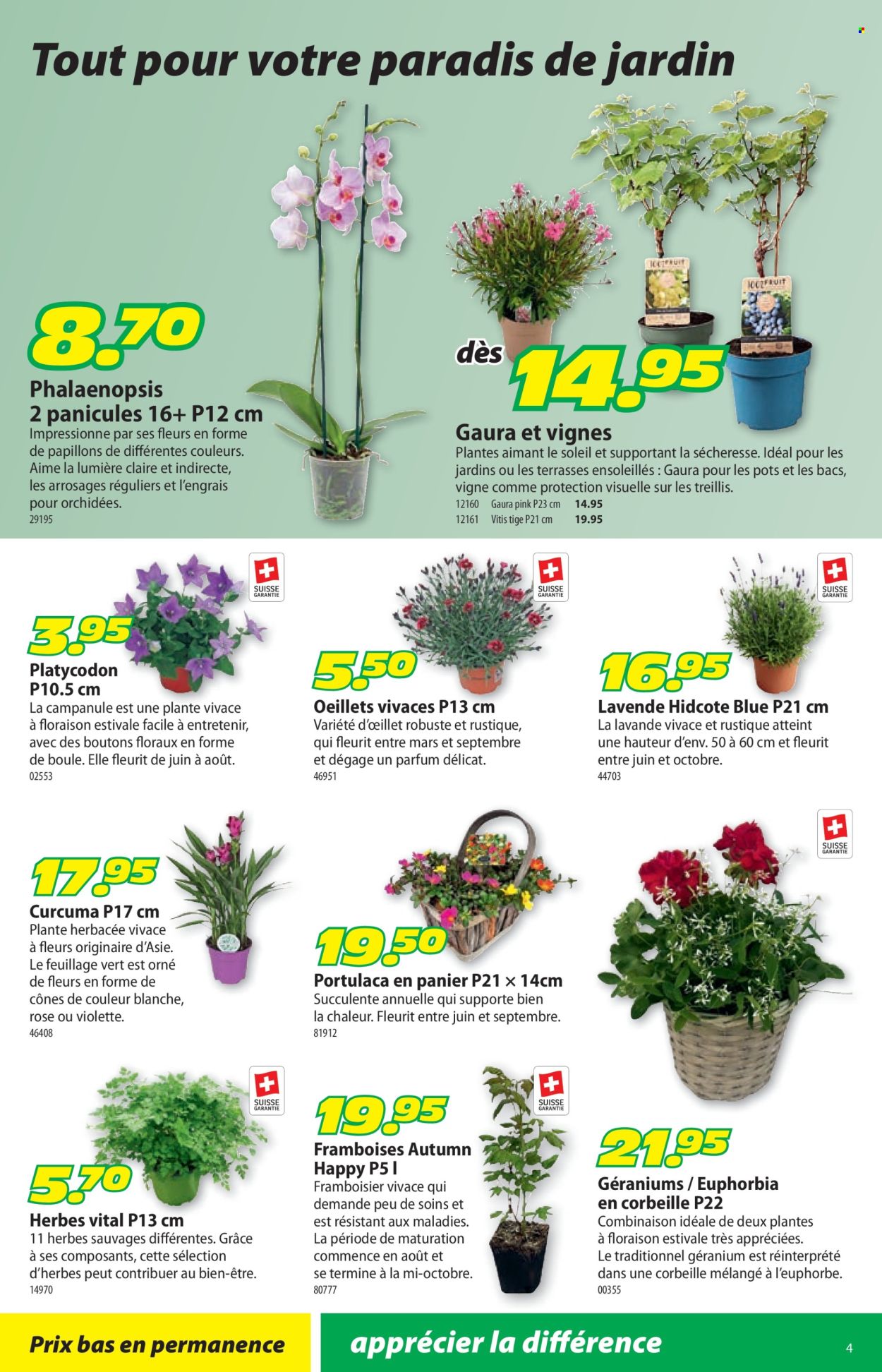 Volantino Landi - 23.6.2025 - 6.7.2025. Pagina 8. Pagina 8