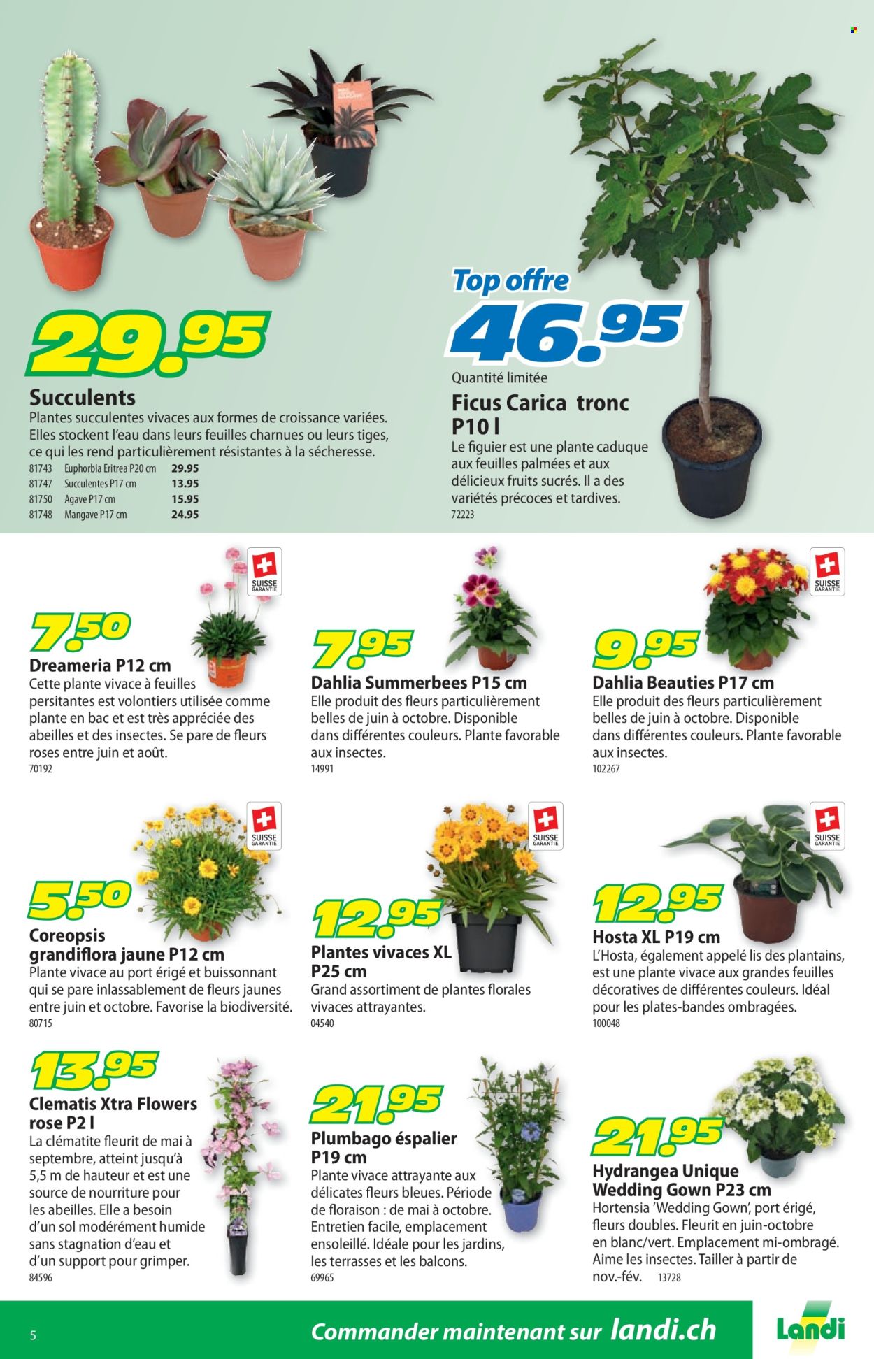 Volantino Landi - 23.6.2025 - 6.7.2025. Pagina 9. Pagina 9