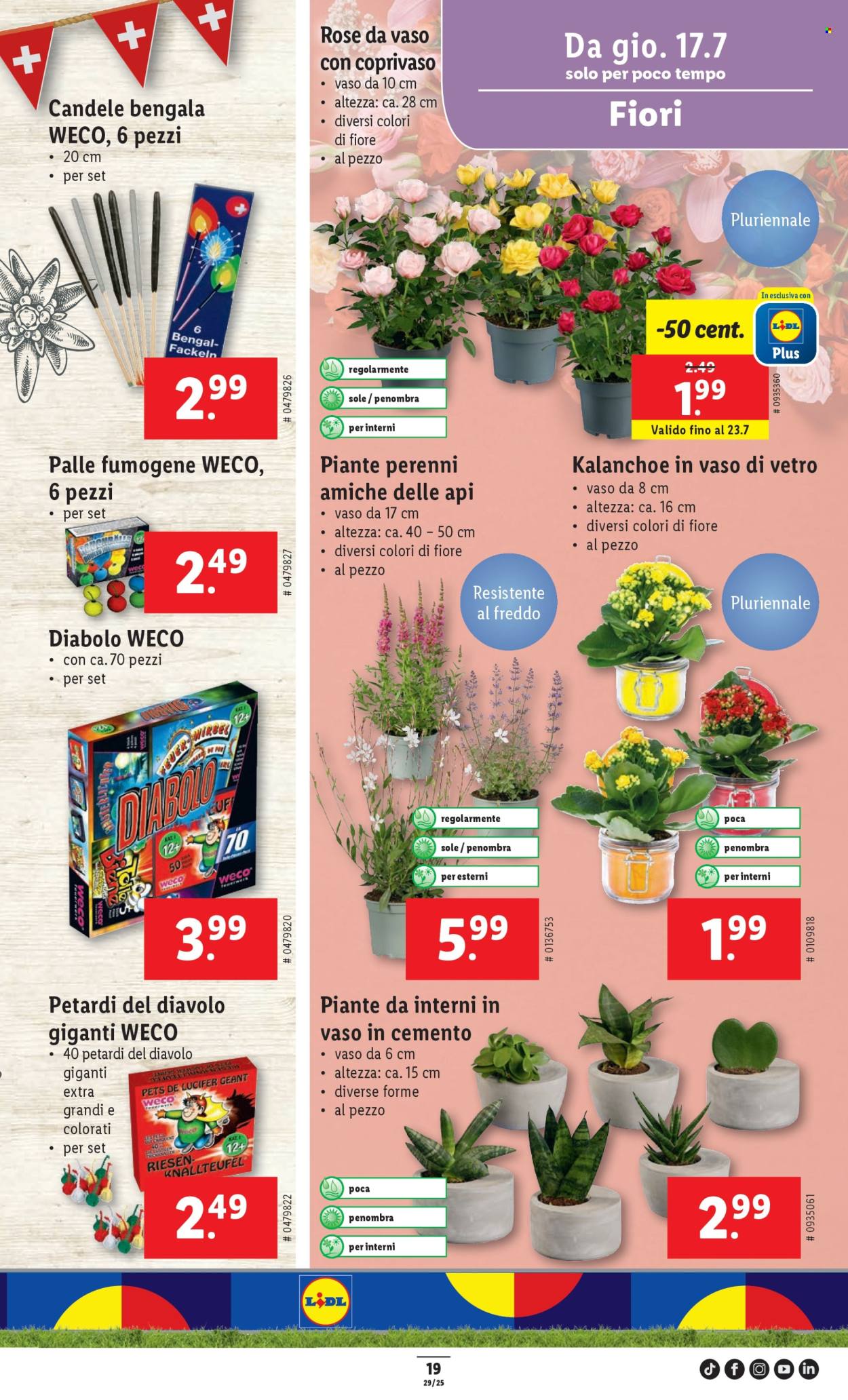 Volantino Lidl - 17.7.2025 - 23.7.2025. Pagina 21. Pagina 21