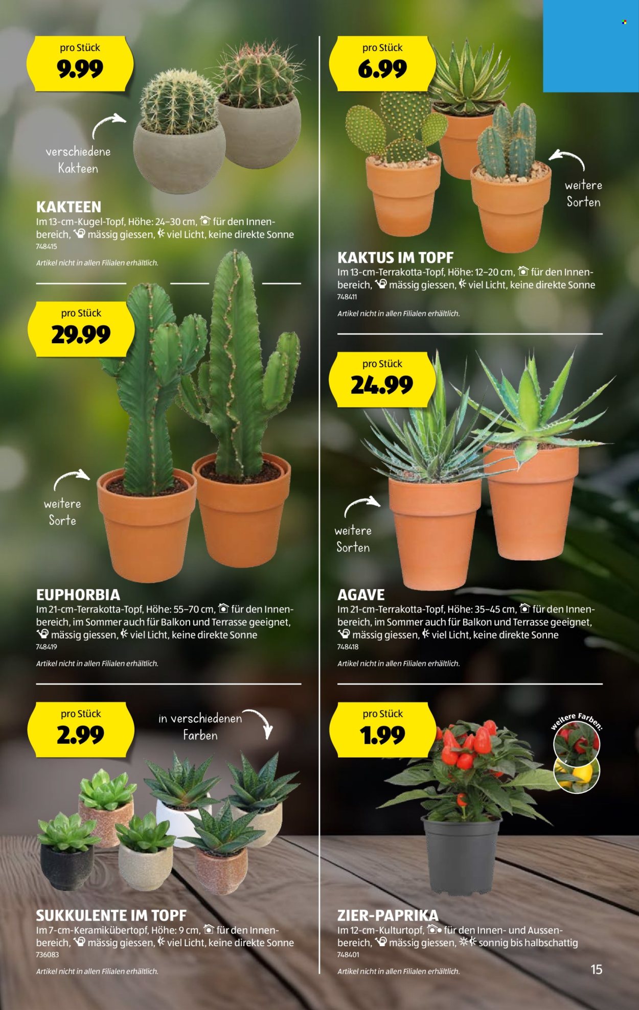Volantino Aldi - 7.8.2025 - 13.8.2025. Pagina 15. Pagina 15