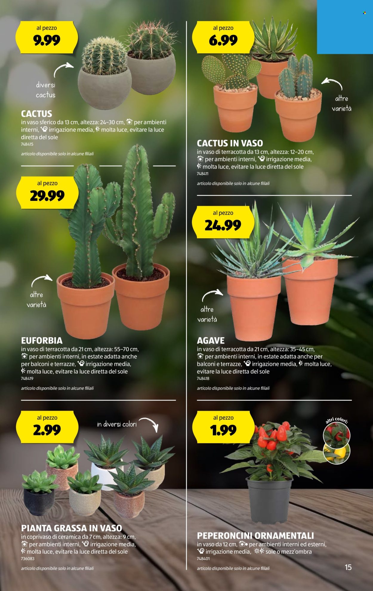 Volantino Aldi - 7.8.2025 - 13.8.2025. Pagina 15. Pagina 15