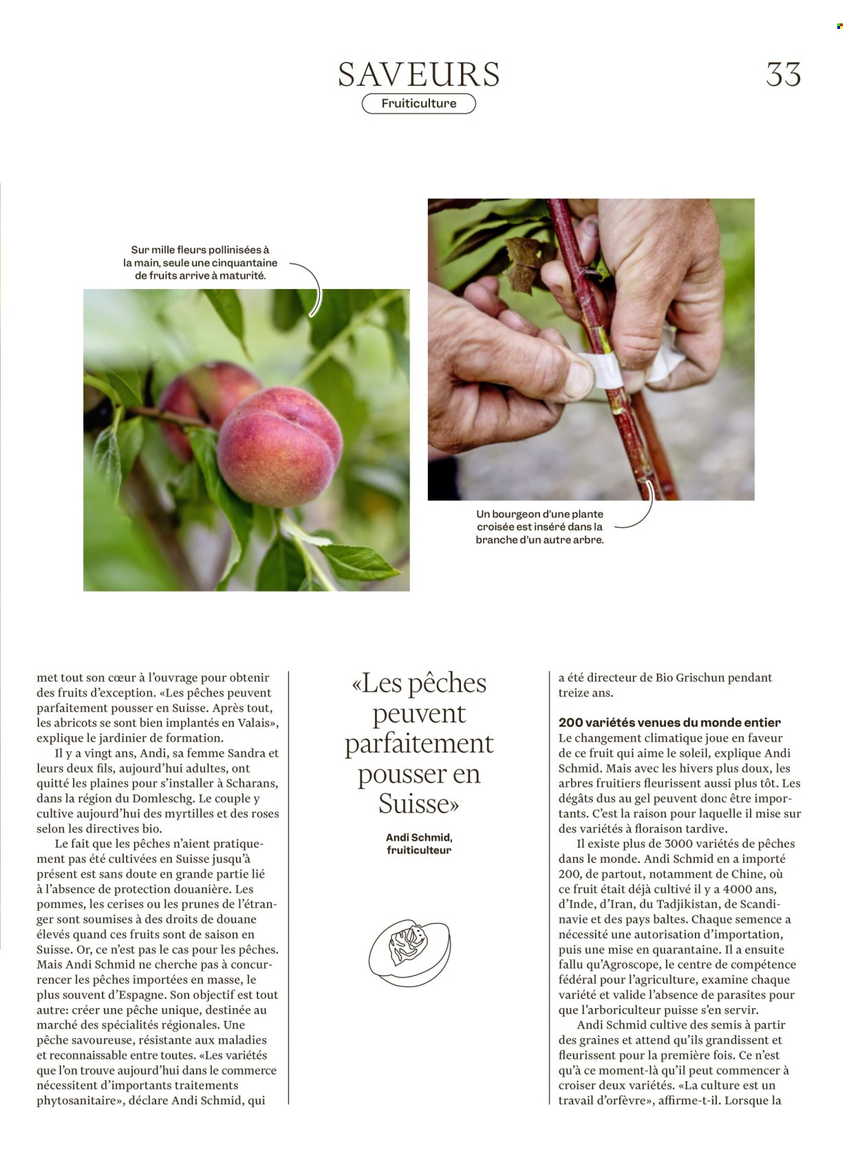 Volantino Migros - 12.8.2025 - 18.8.2025. Pagina 33. Pagina 33