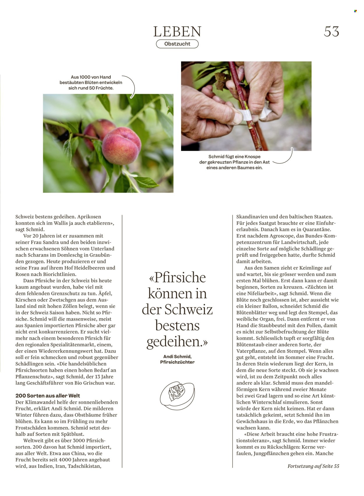 Volantino Migros - 12.8.2025 - 18.8.2025. Pagina 53. Pagina 53