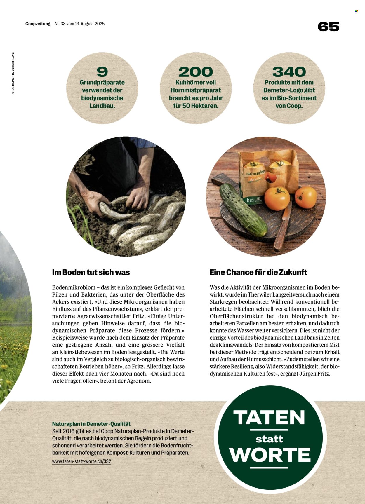 Volantino Coop - 14.8.2025 - 20.8.2025. Pagina 65. Pagina 65