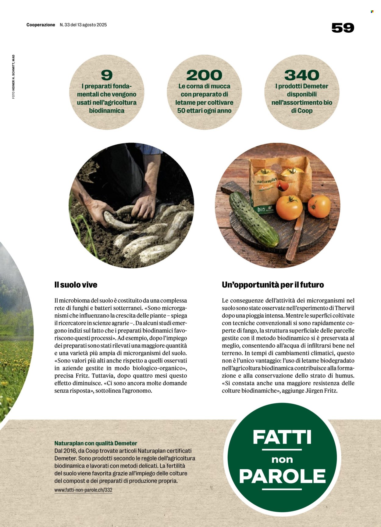 Volantino Coop - 14.8.2025 - 20.8.2025. Pagina 59. Pagina 59
