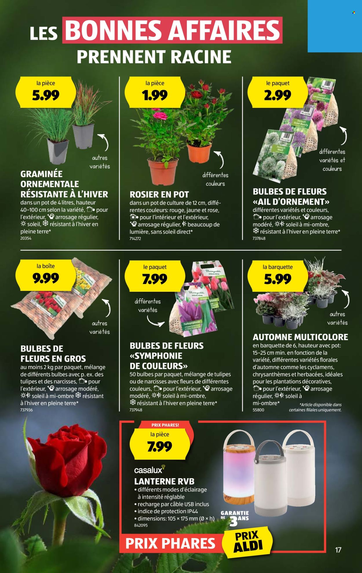 Volantino Aldi - 28.8.2025 - 3.9.2025. Pagina 17. Pagina 17